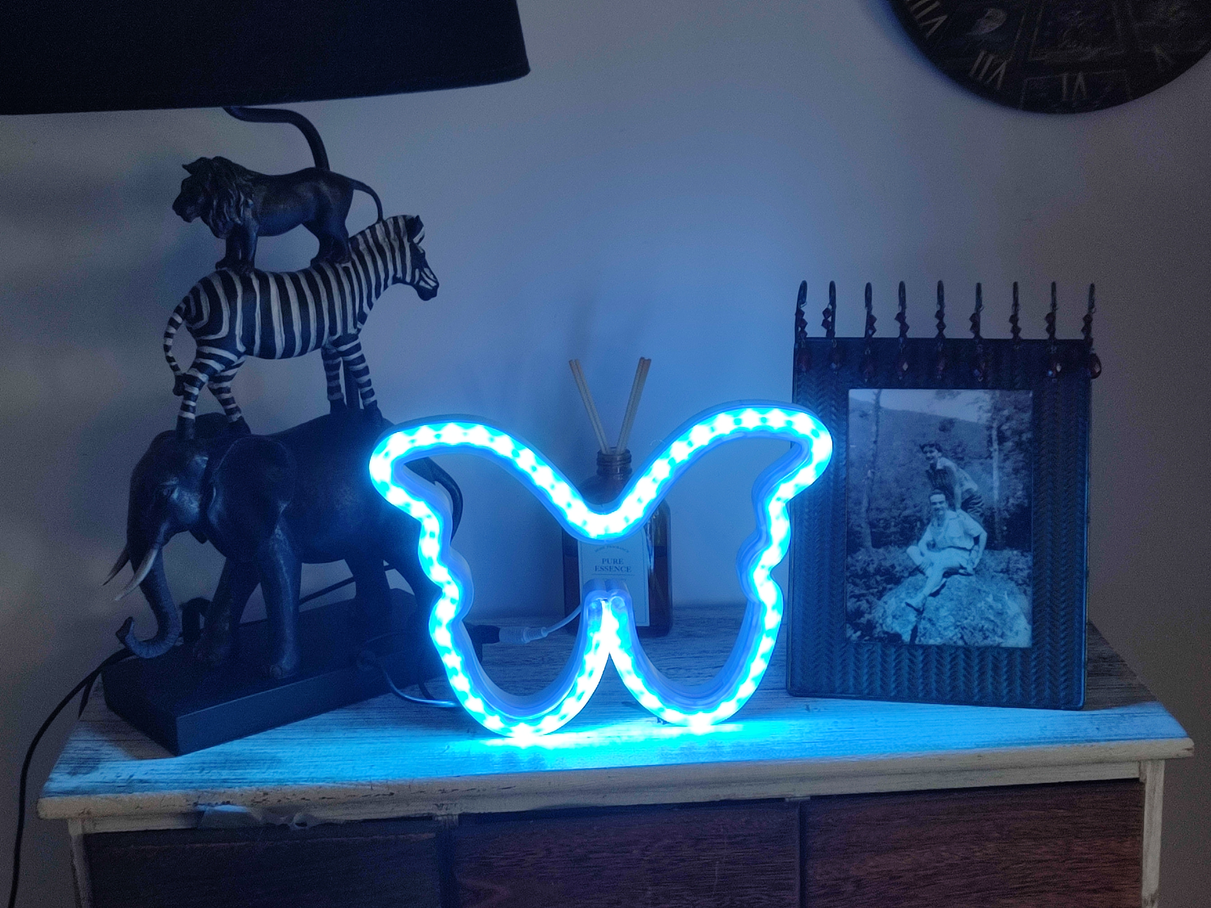 Butterfly neon