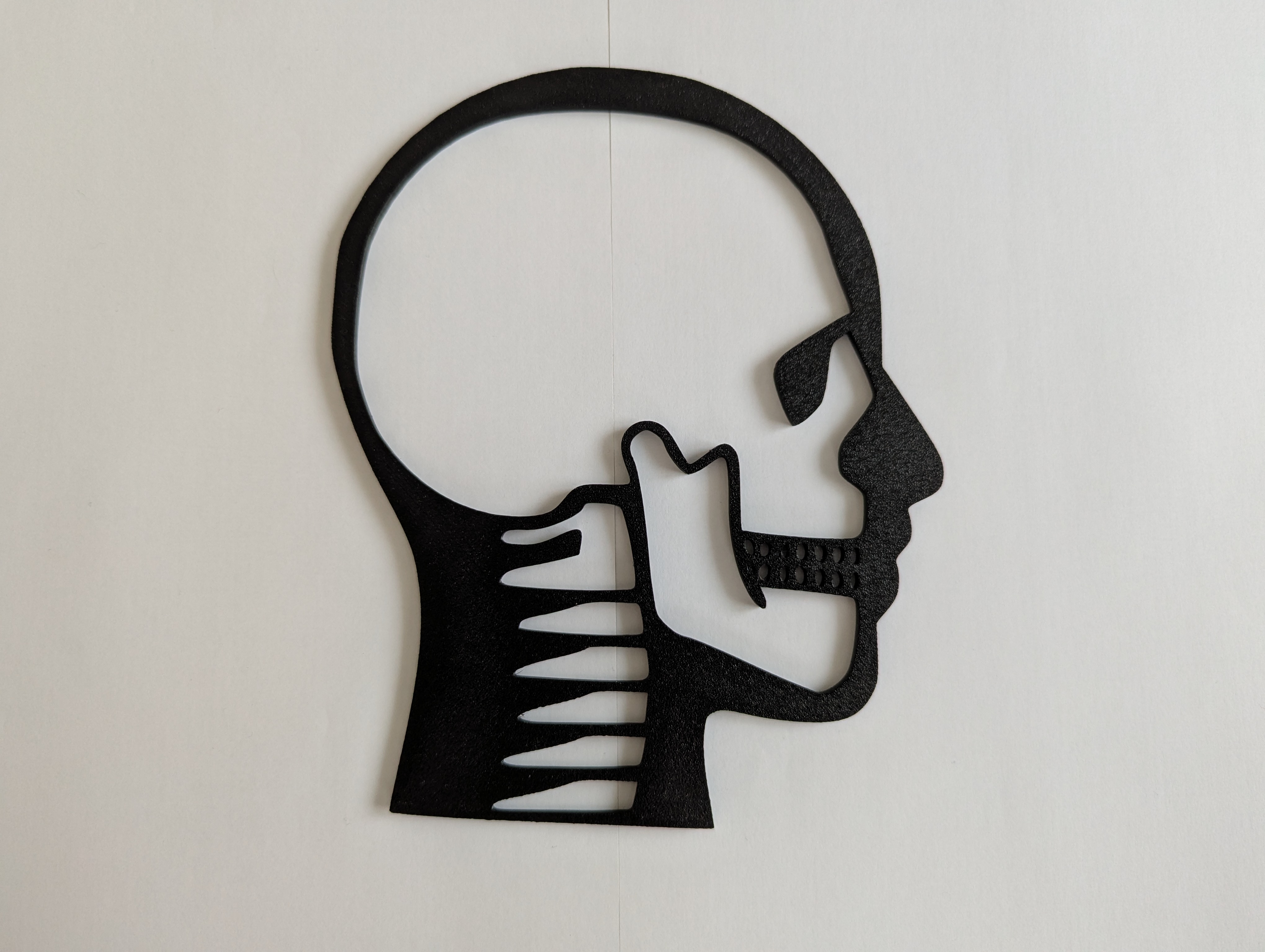 Human Head X-Ray Outline Model / Wall Art