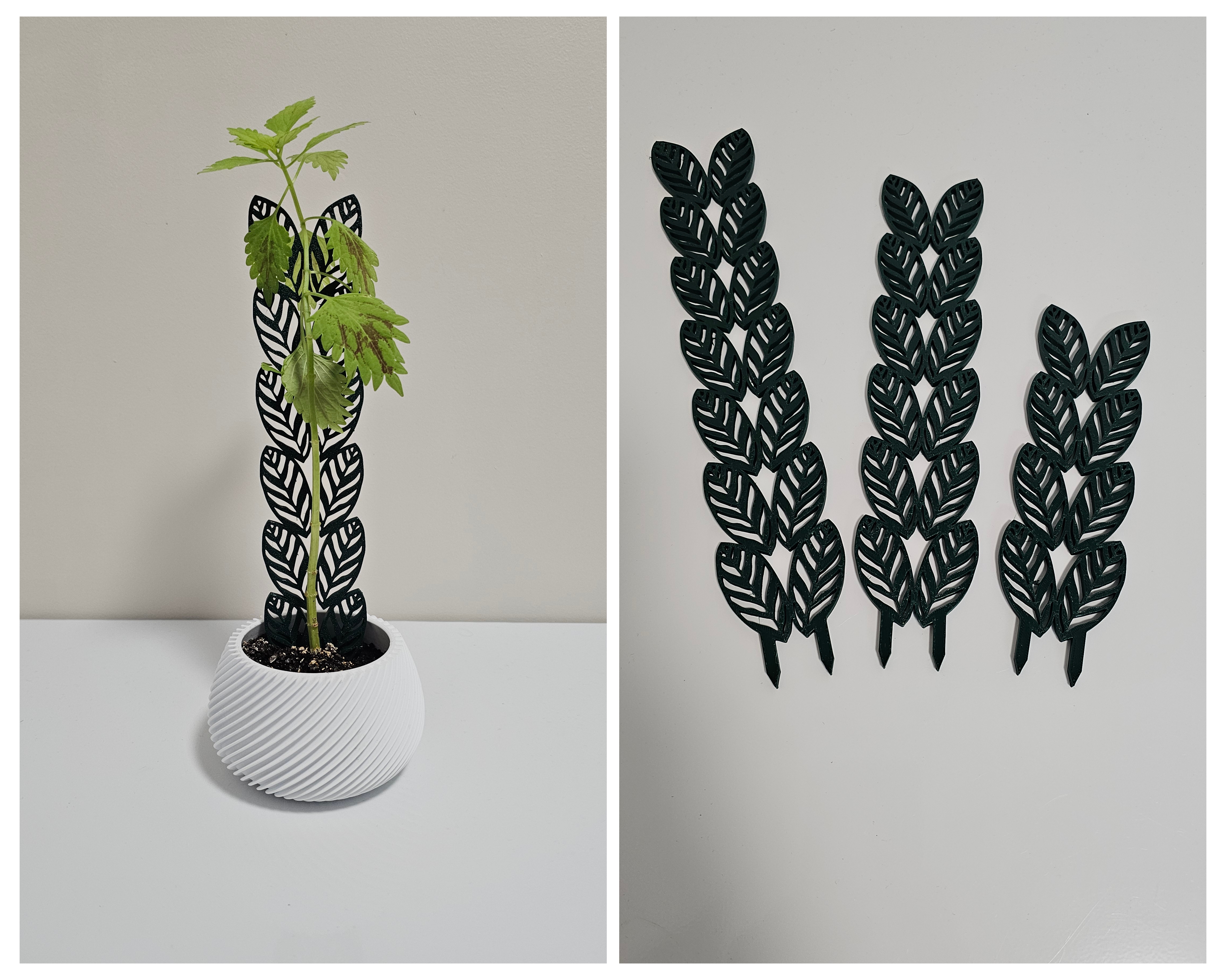 Support for plants. Plant Trellis. Leaves