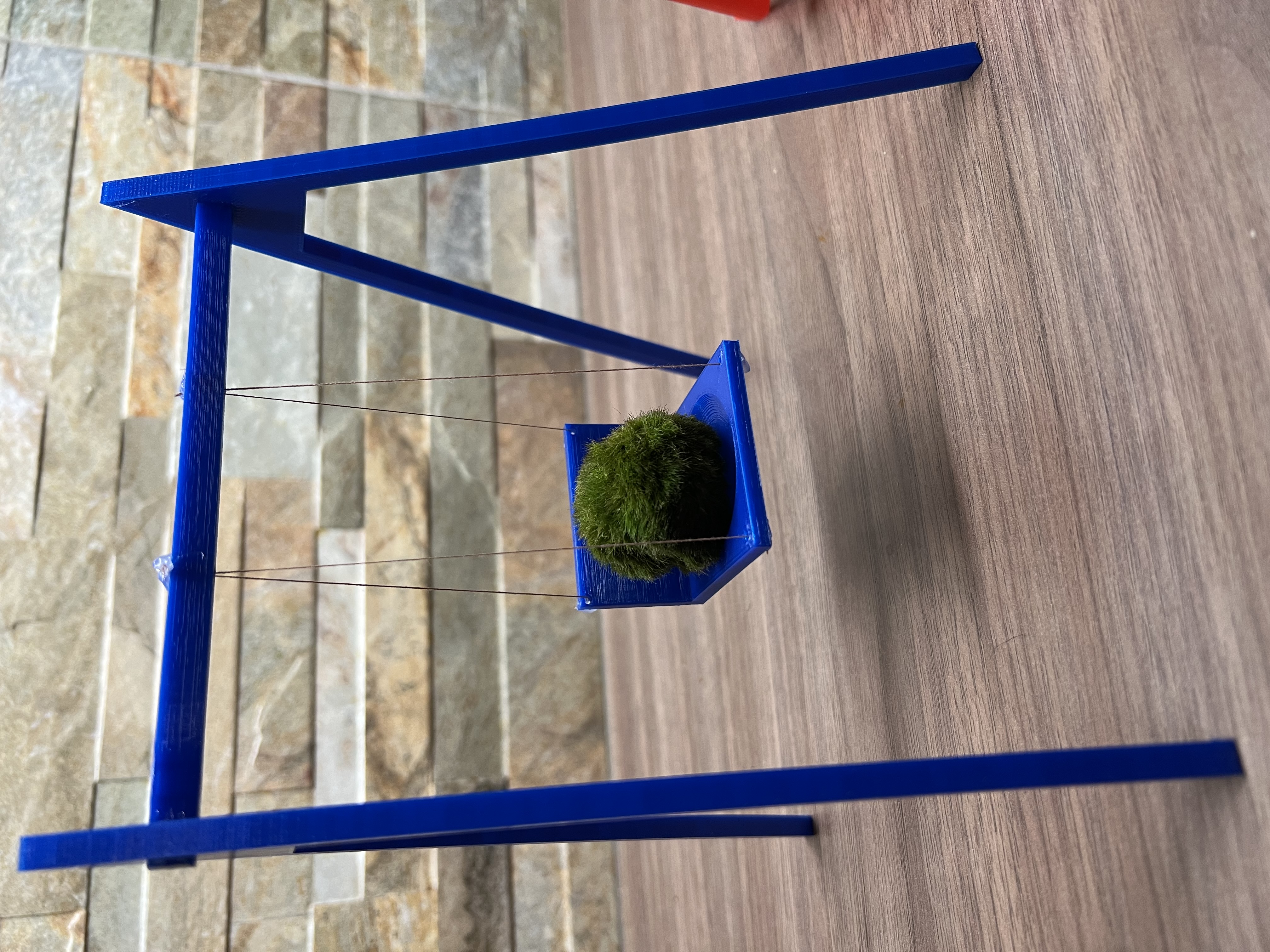 Swing for marimo / Houpačka pro řasokouli