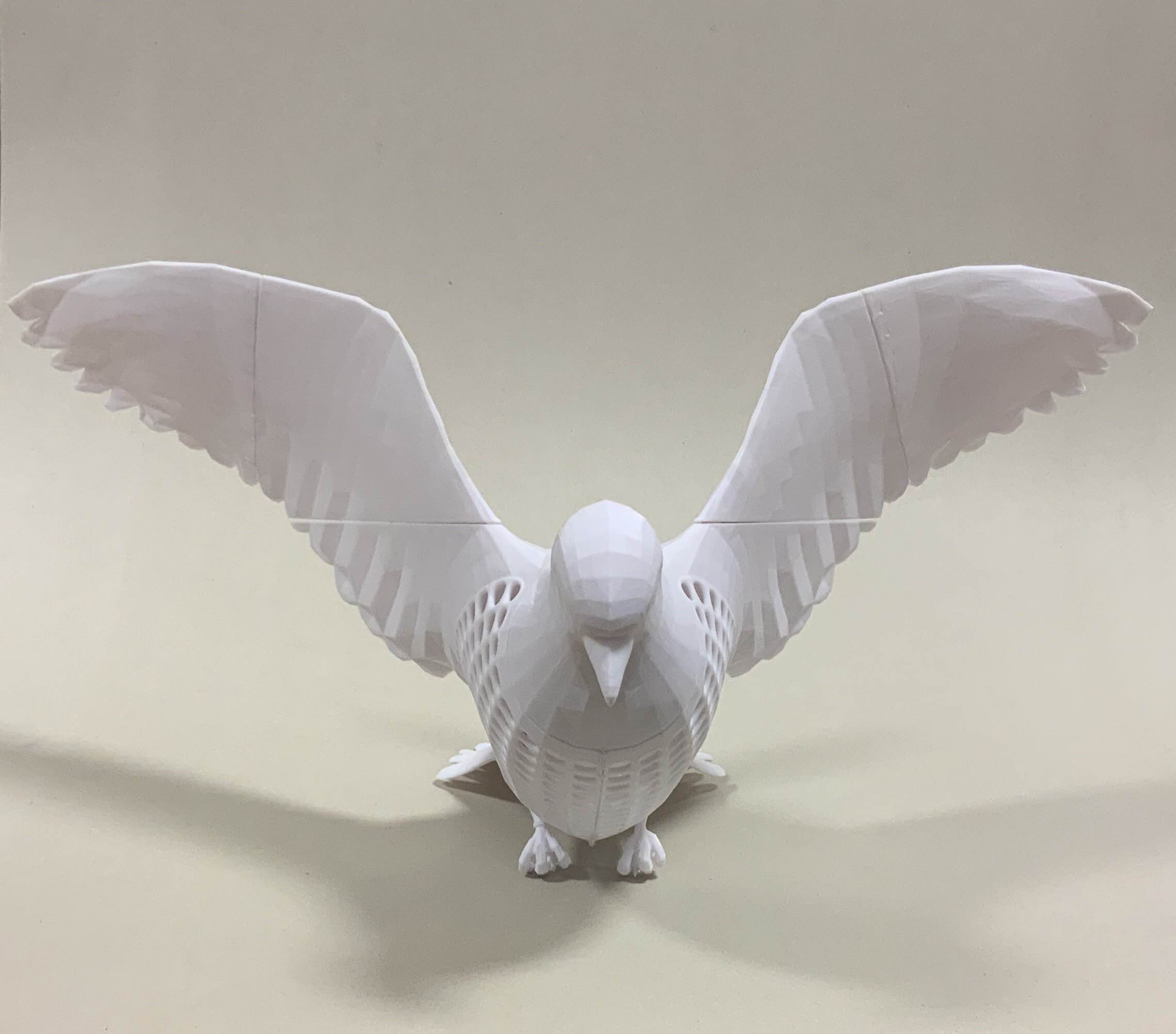 Bottle Pigeon