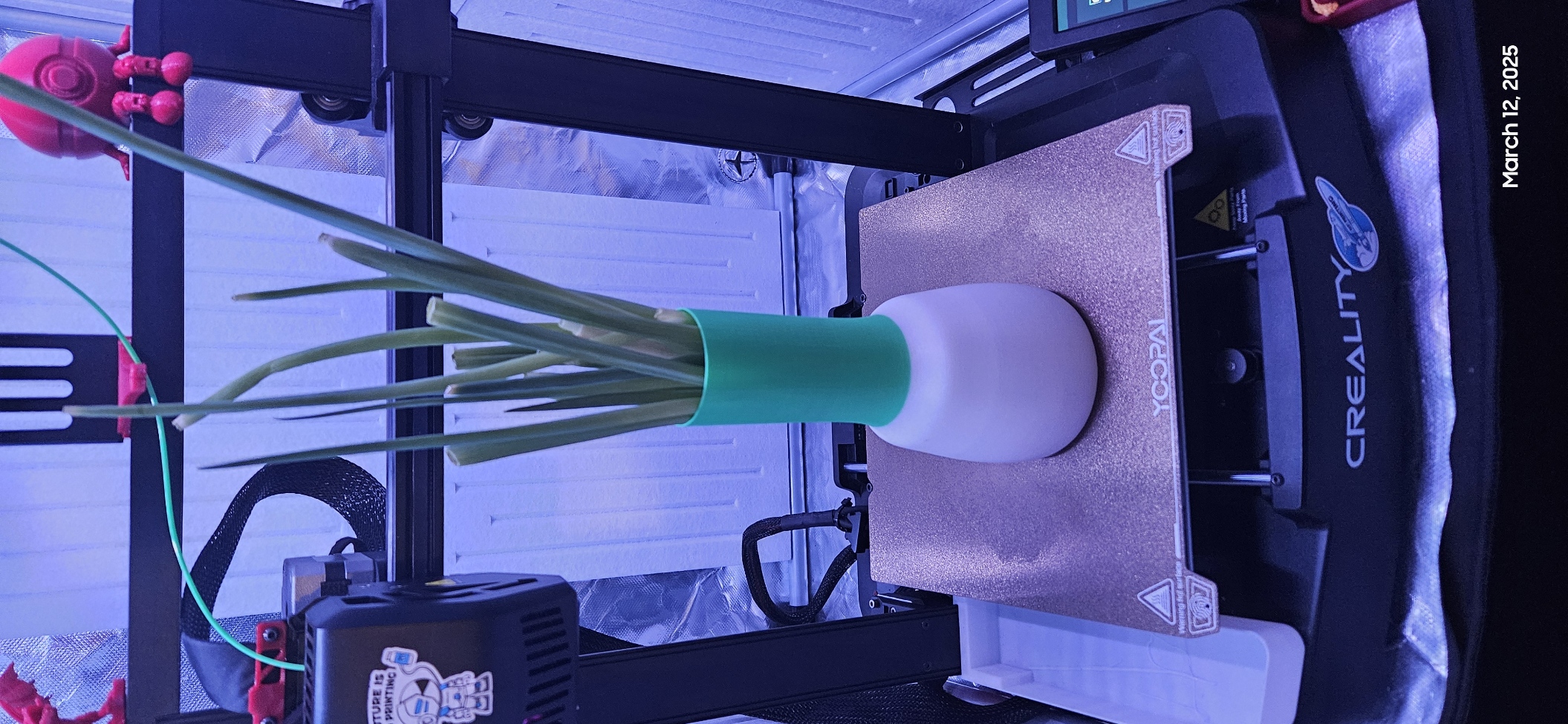 Green Onion Vase (resizable)