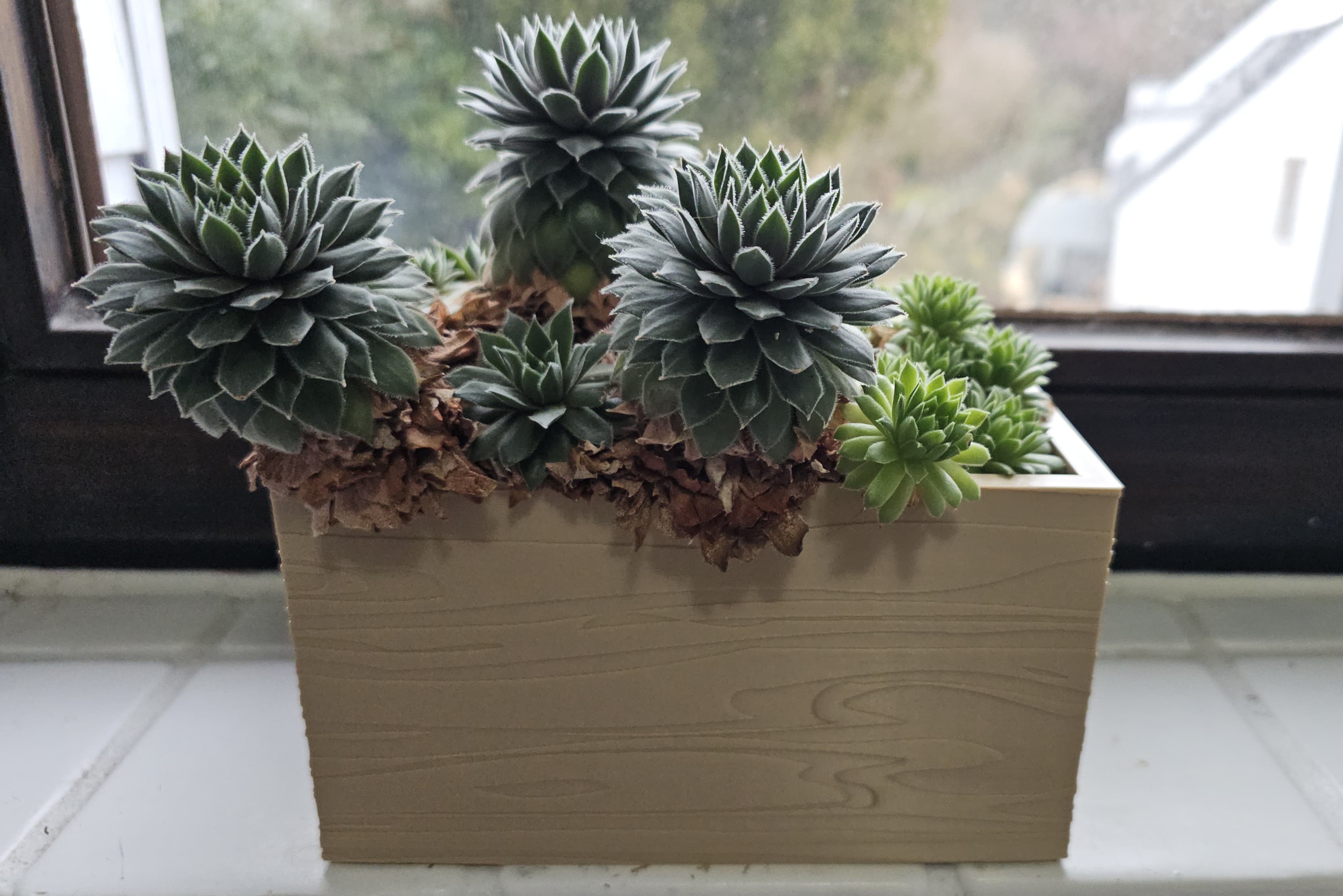 Rectangular Planter with Stylish Wood Texture — miniatura 2