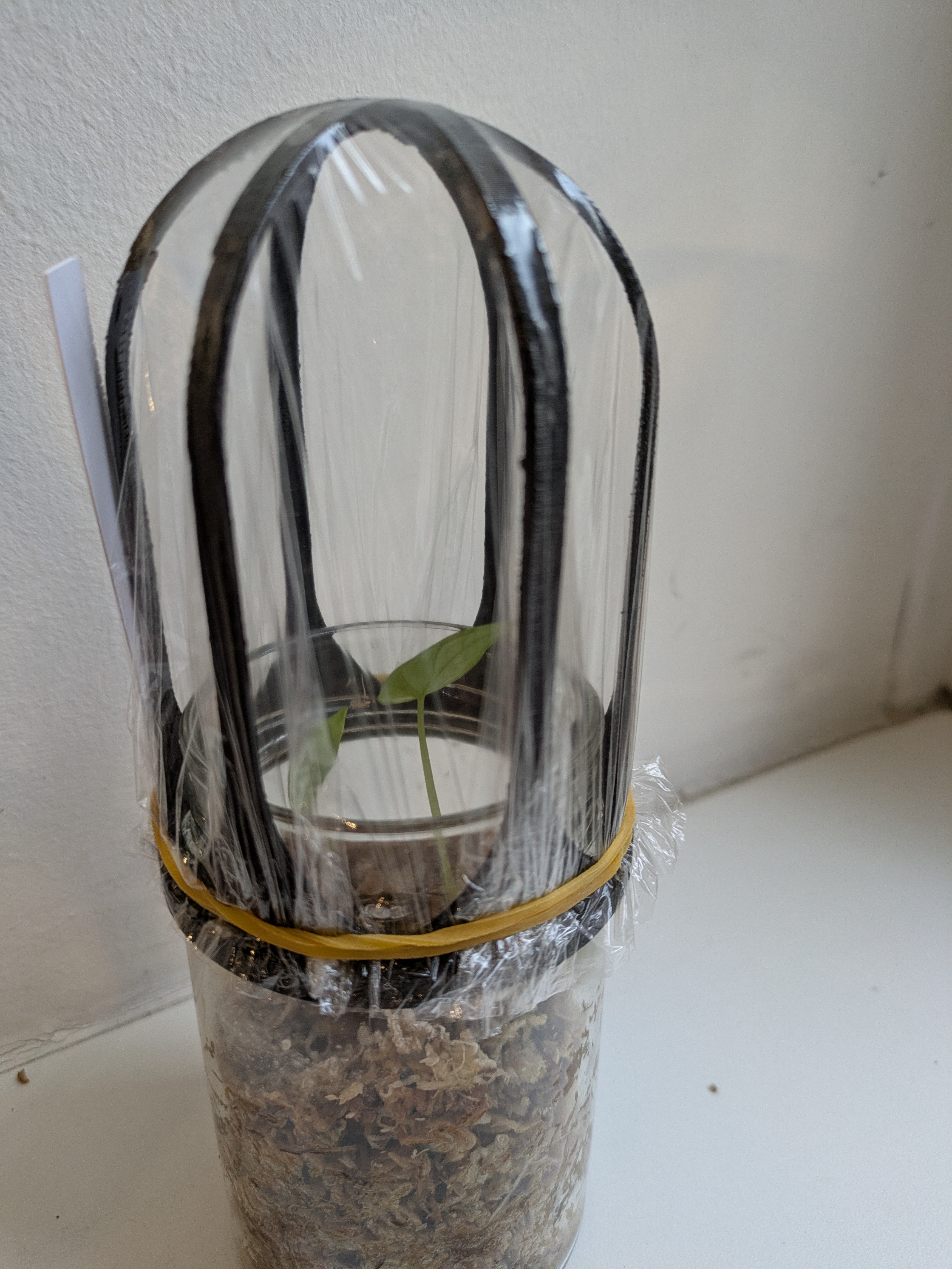 Mini Greenhouse Dome