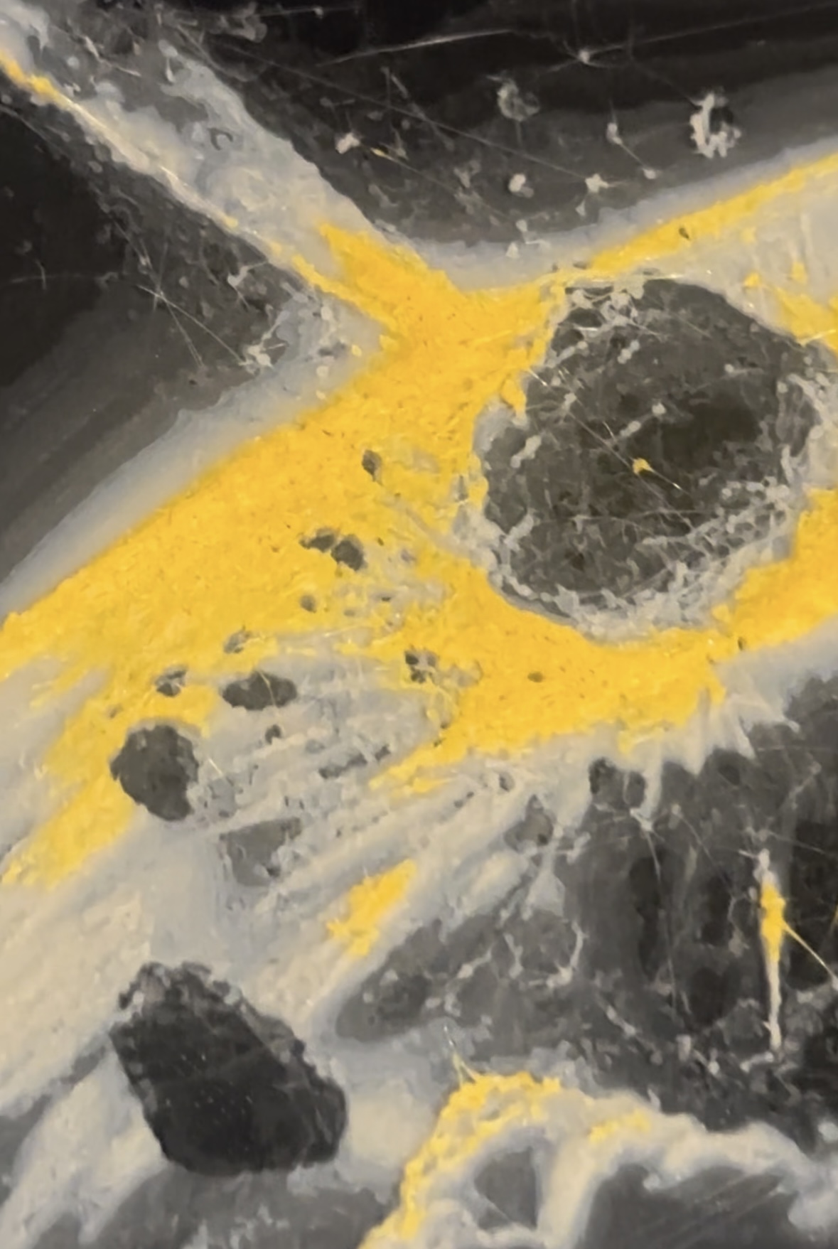 "Cosmic Motivity" — thumbnail 3