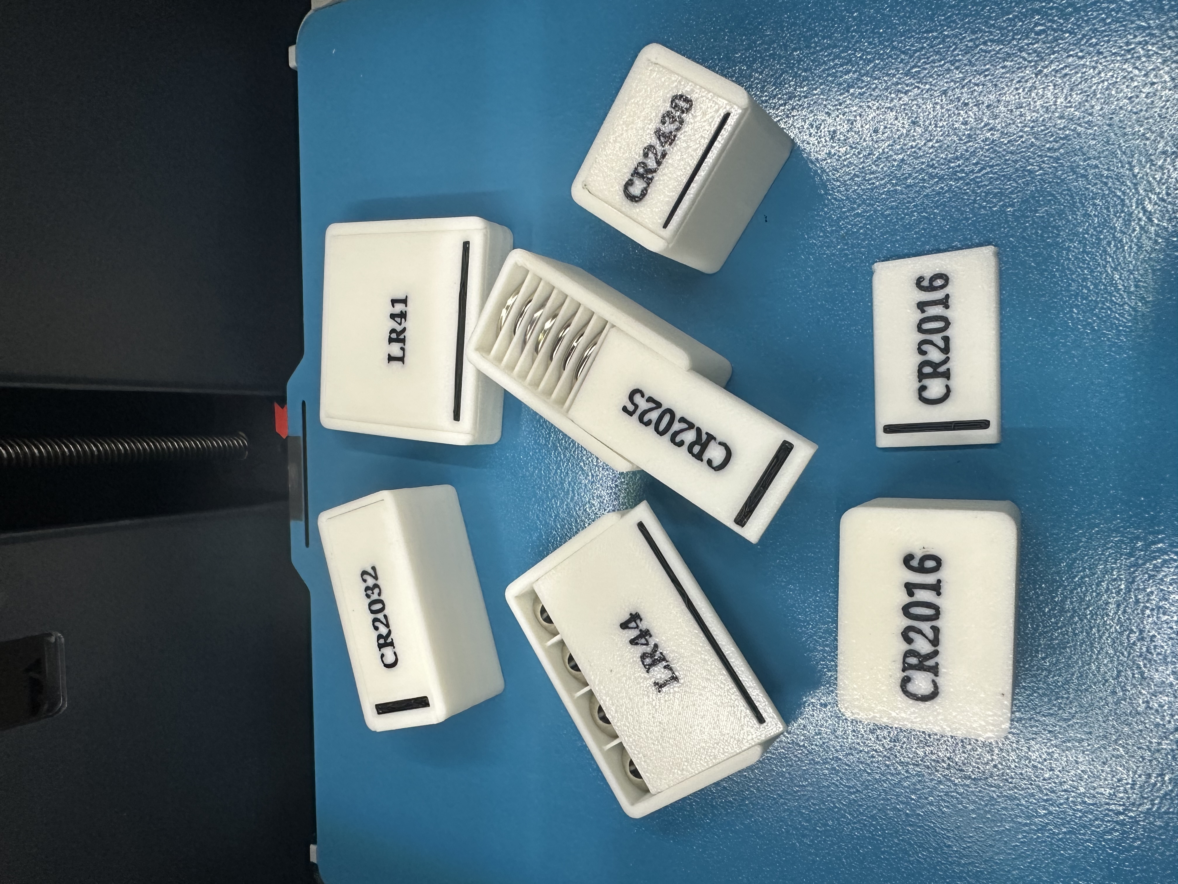 Button Cell Battery Storage Box