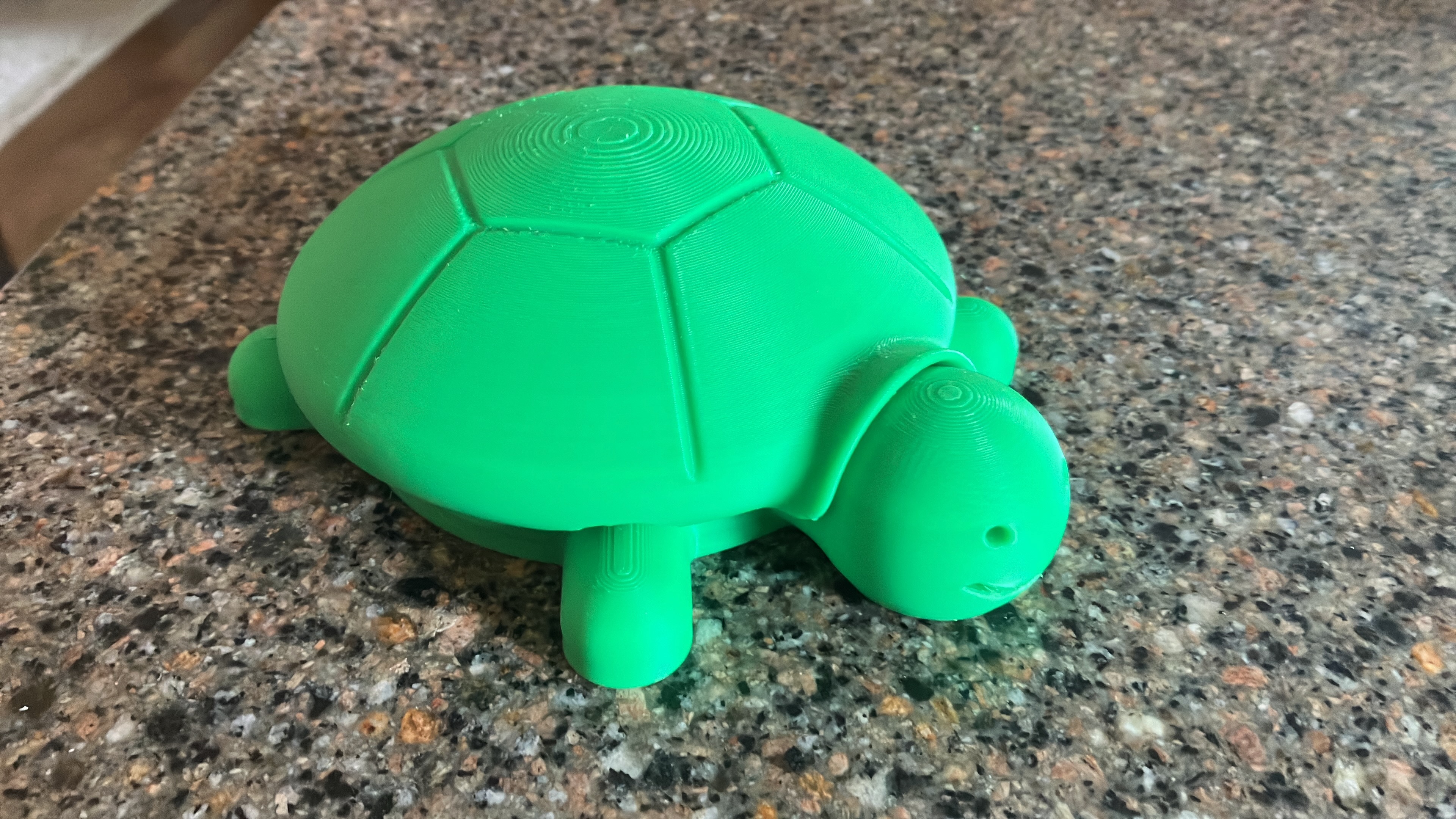 Miniatura 3 do modelo 3D Turtle Sandbox with Accessories