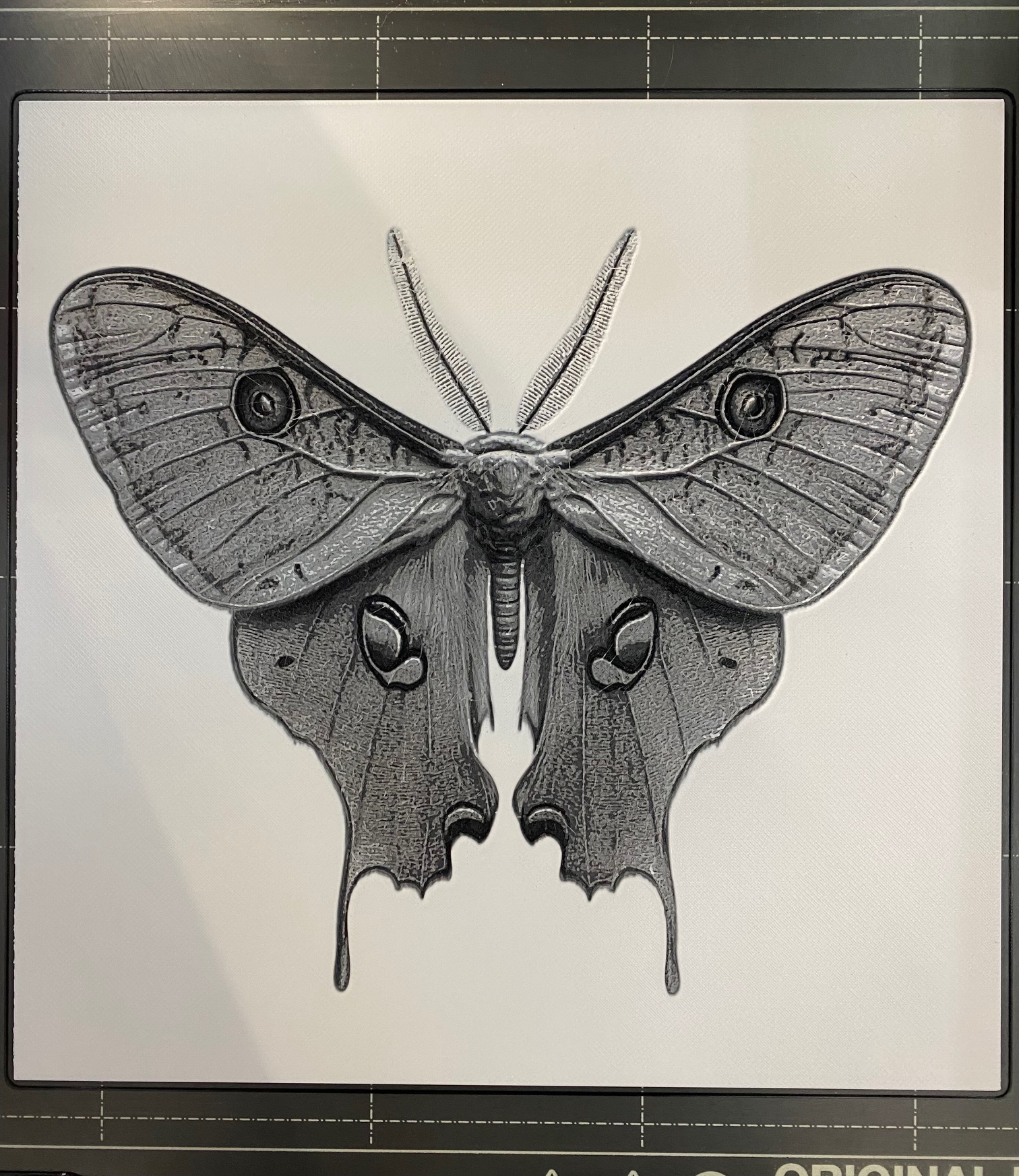 Luna Moth - Hueforge