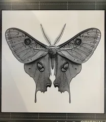 Image preview