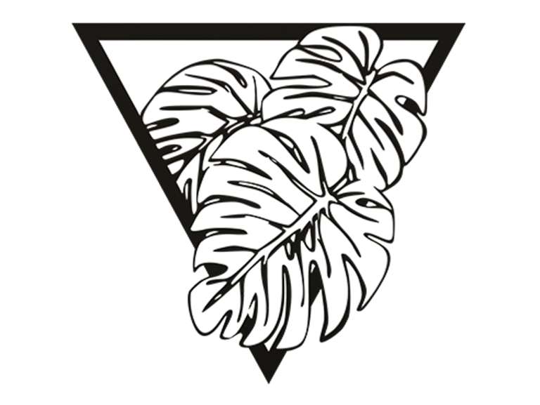 Monstera Leaves — miniatura 2