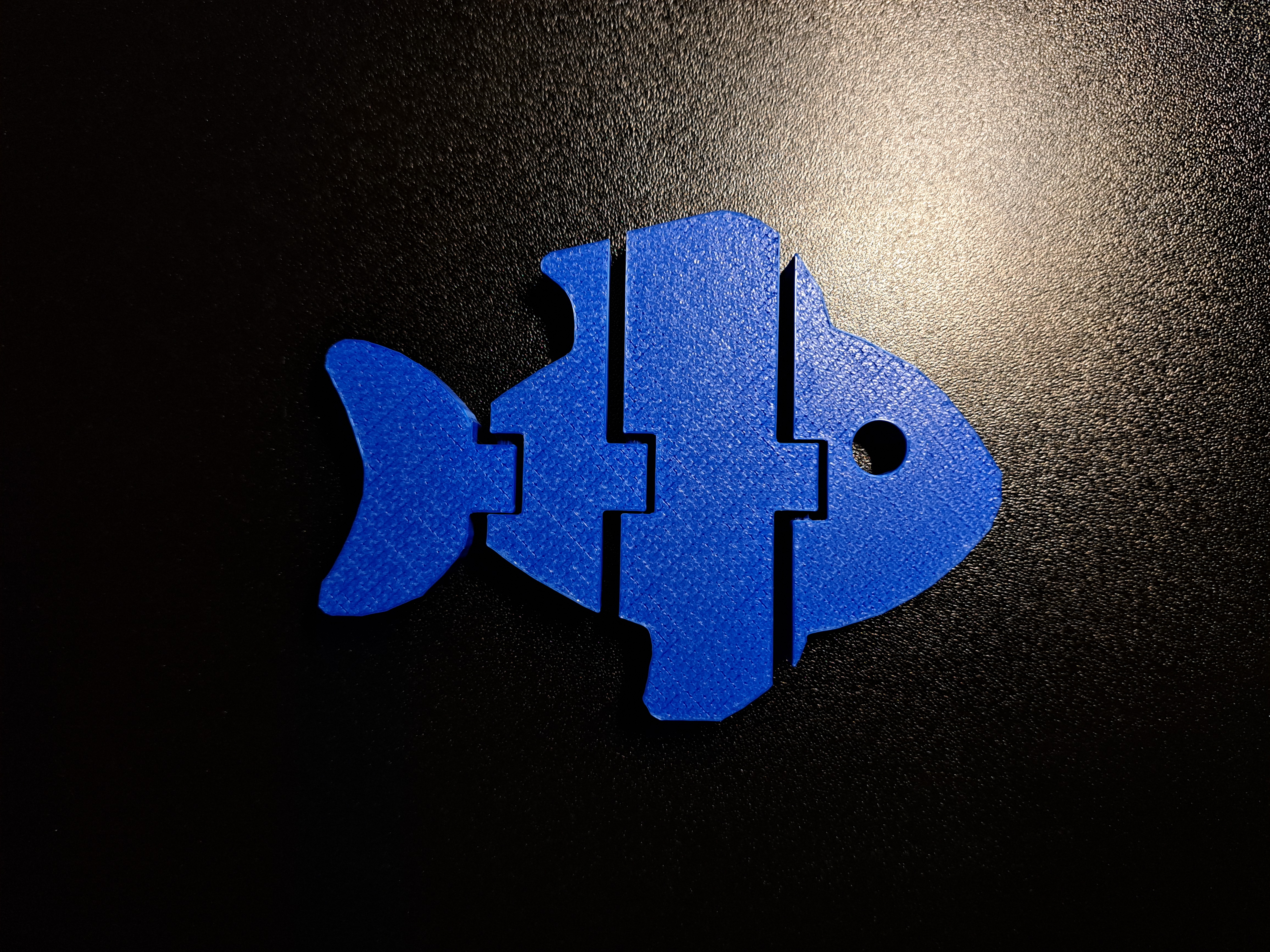 Flexi fish