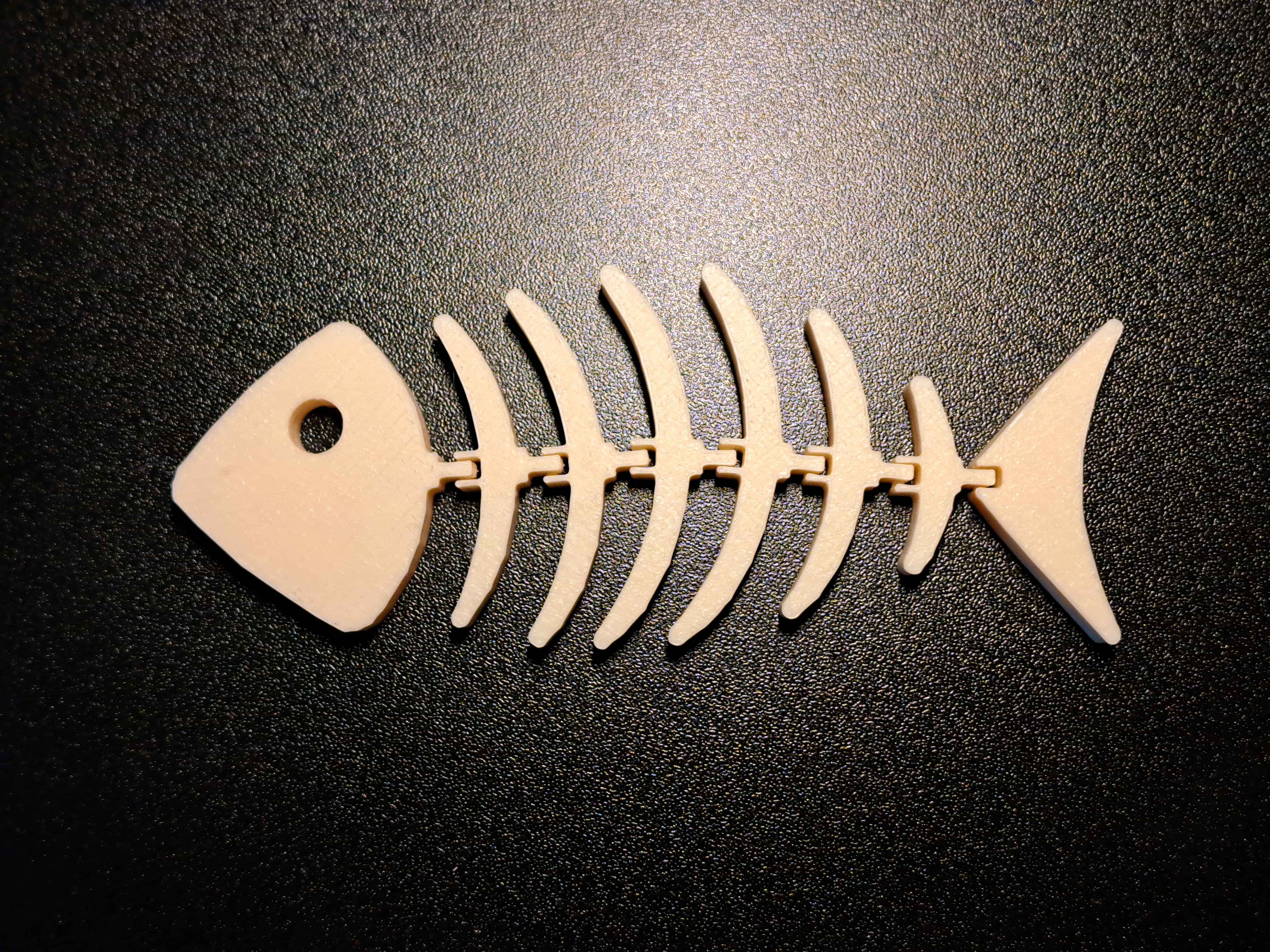 Flexi skeleton fish
