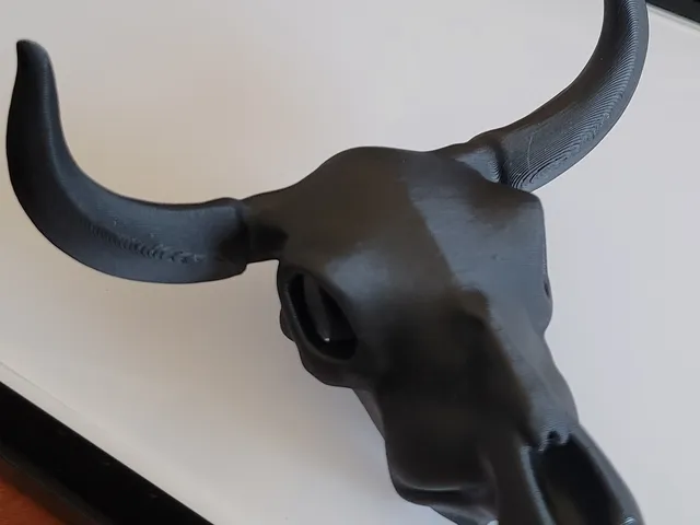Cow Skull