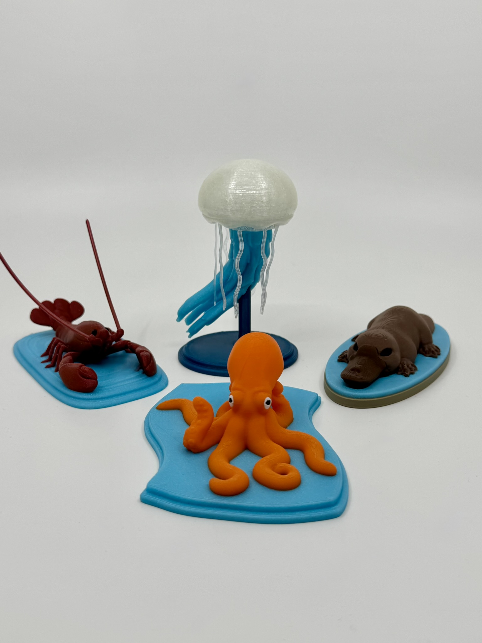 Jellyfish — miniatura 3