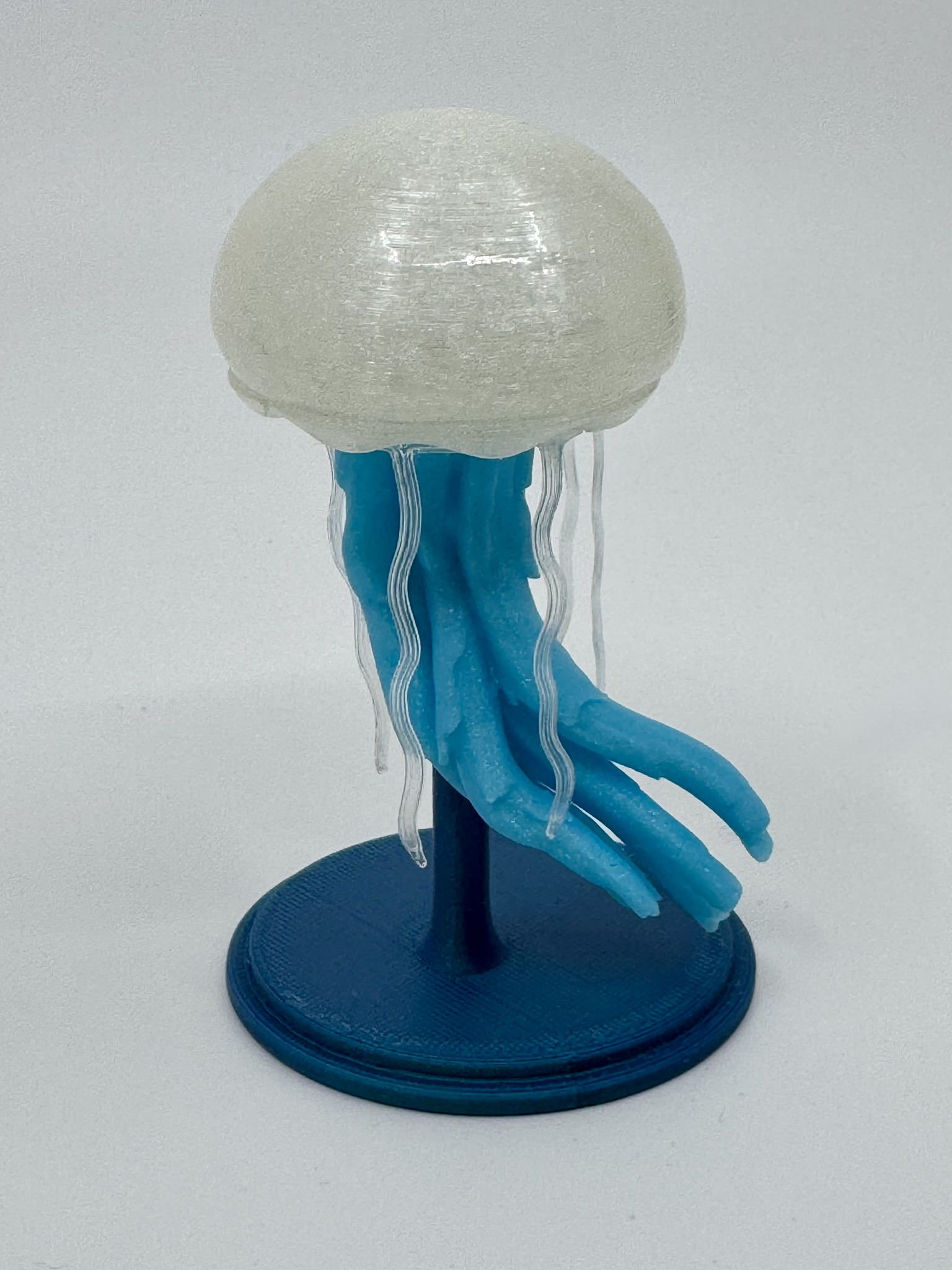 Jellyfish — miniatura 2