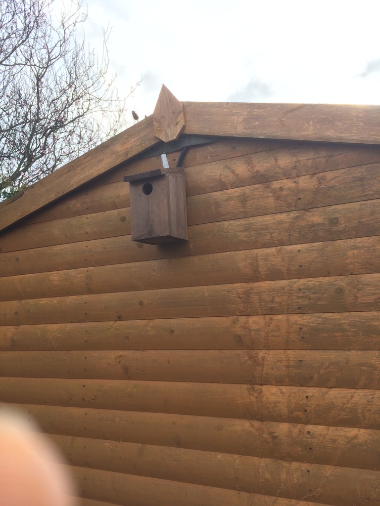 Miniatura 8 do modelo 3D Raspberry Pi Birdbox camera mount