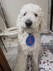 Medal-FIRST PLACE