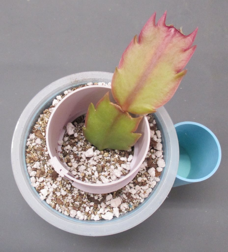Miniatura 6 do modelo 3D Plant Support Ring