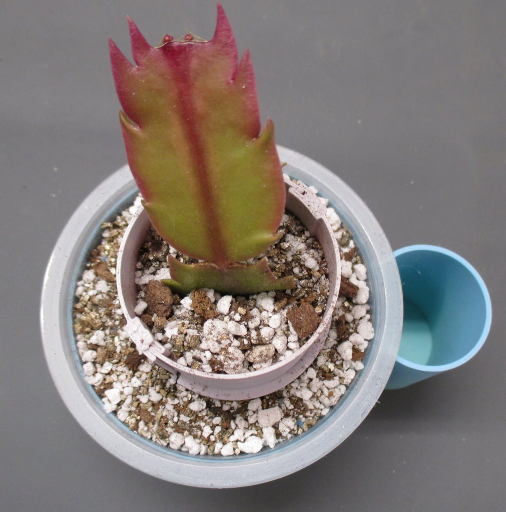 Miniatura 7 do modelo 3D Plant Support Ring
