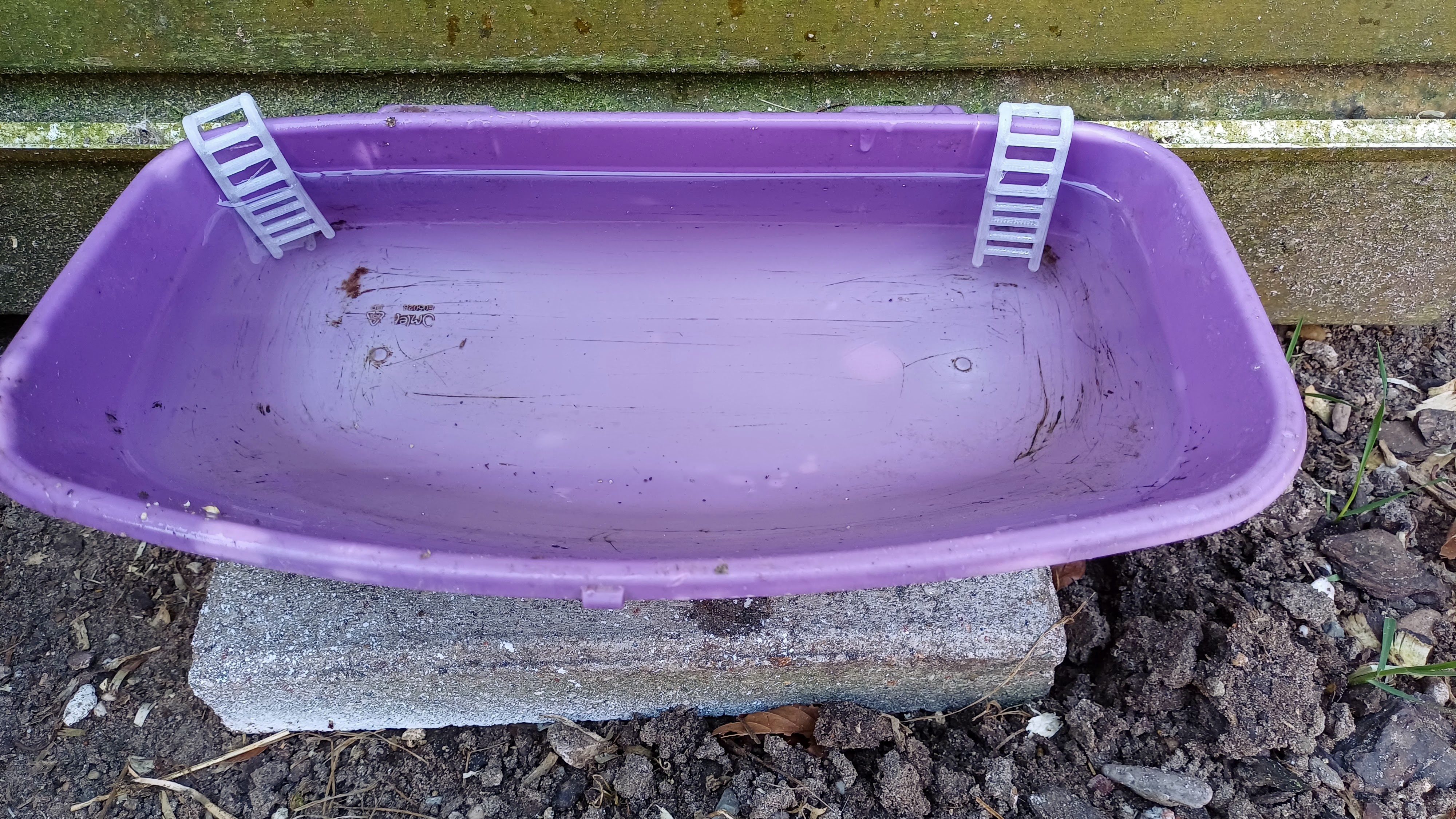 Pool ladder for mice