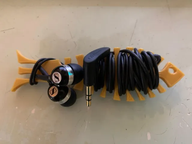 Earbuds holder