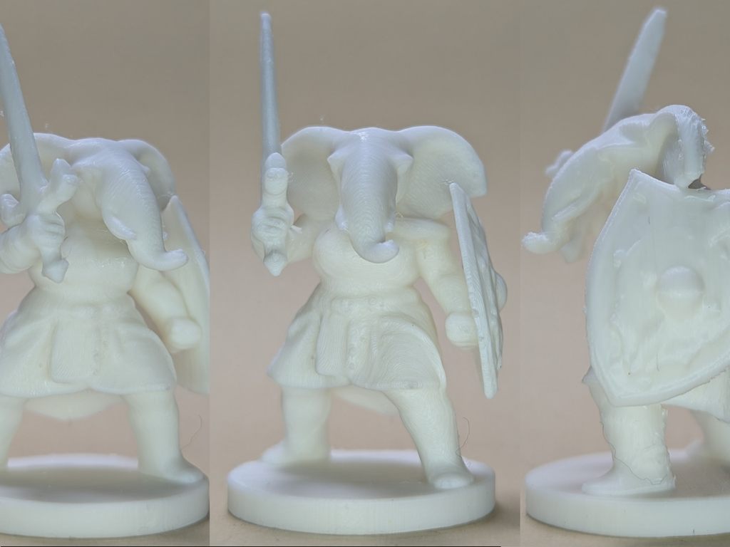 Loxodon, Elephantfolk Fighter Female 25mm (DND / TTRPG)