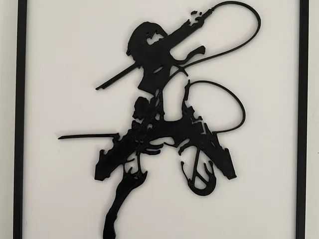 Mikasa from Attach on Titan Frame