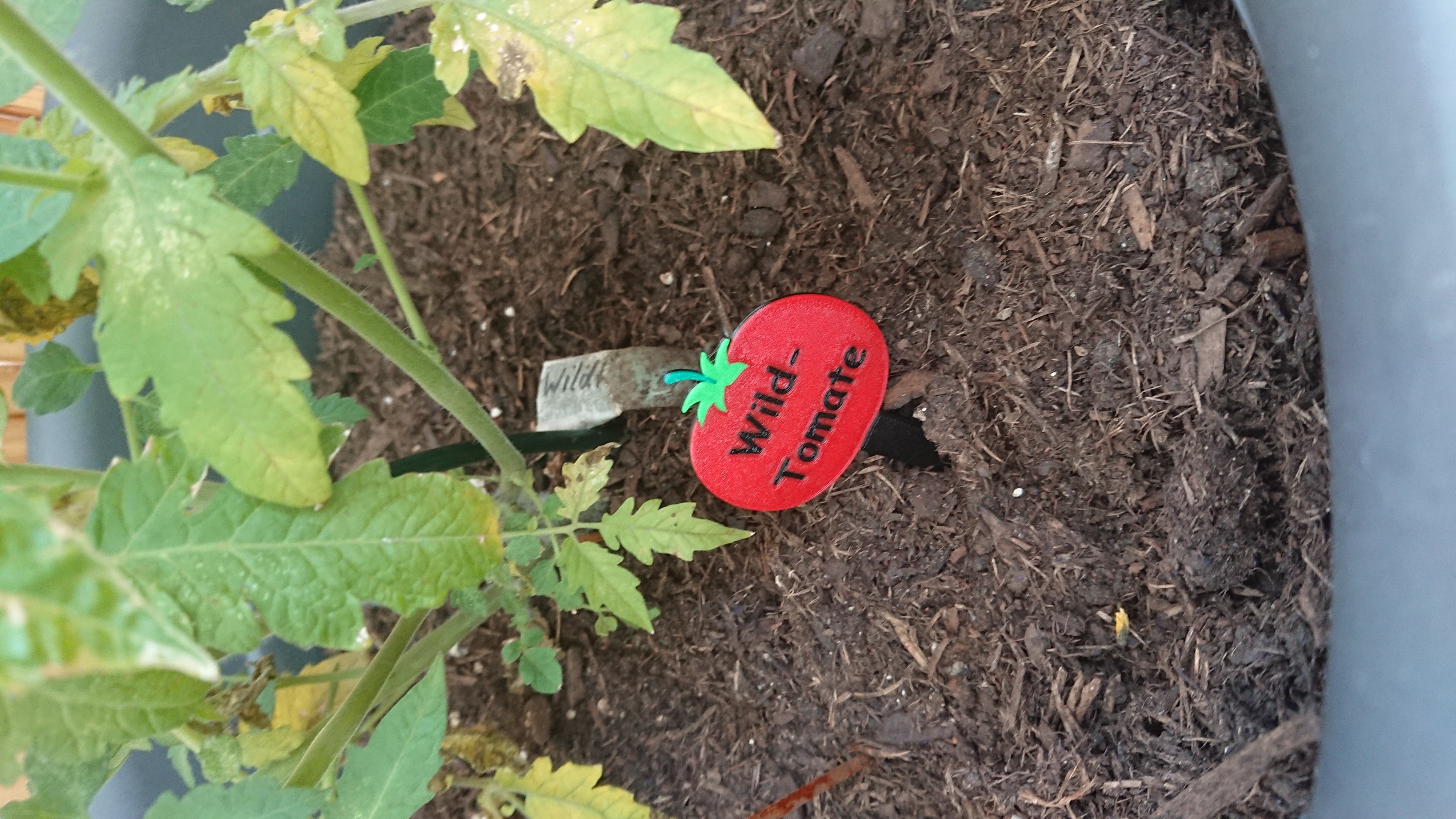 Tomatenlabel