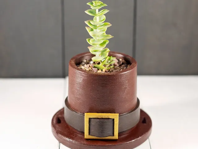 Pilgrim Hat Planter