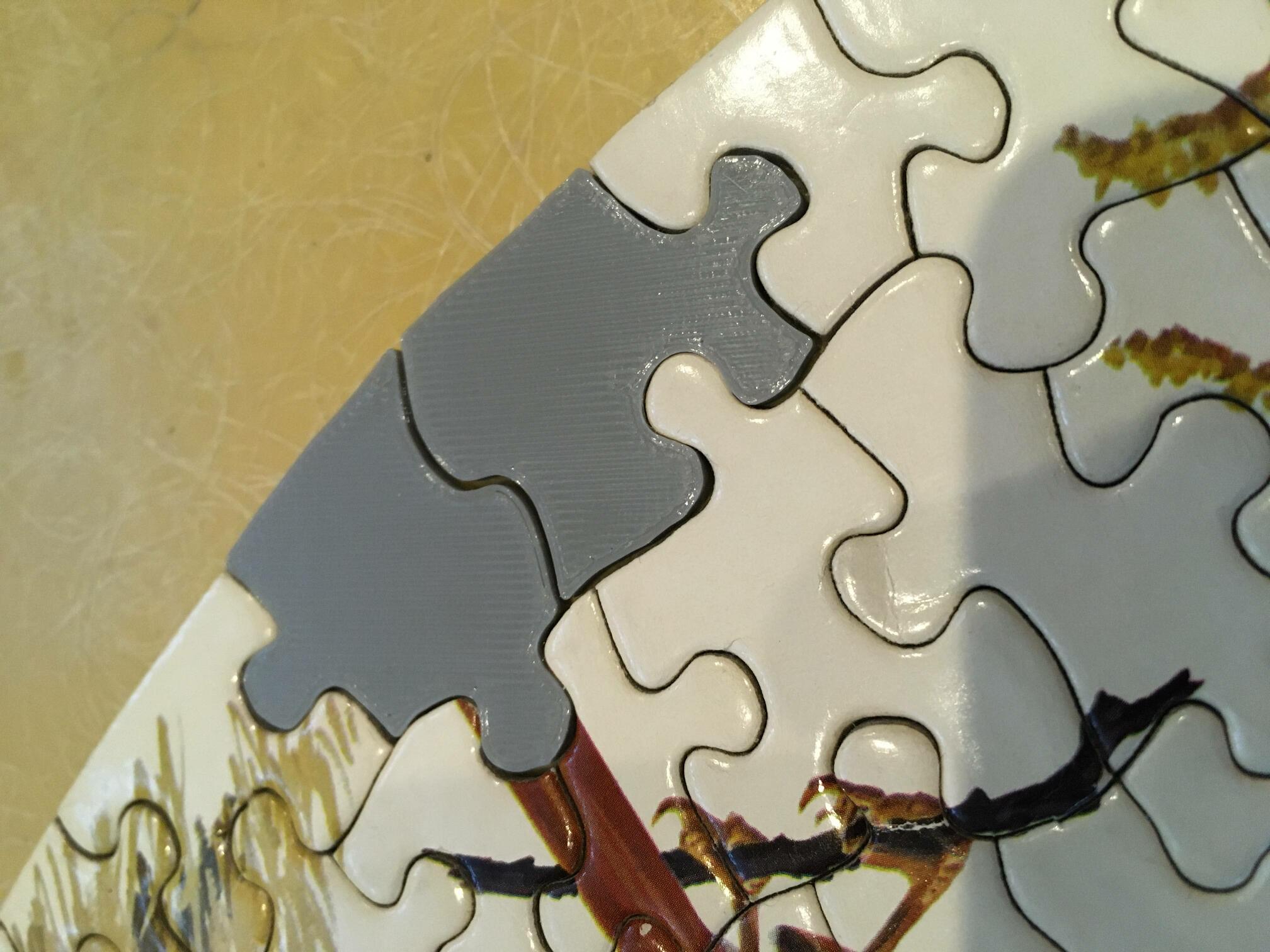 Missing Jigsaw Puzzle Pieces
