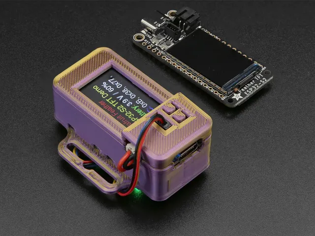 ESP32-S2 Feather TFT STEMMA Case