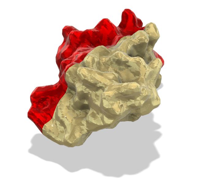 Print "Carl," the Protein!