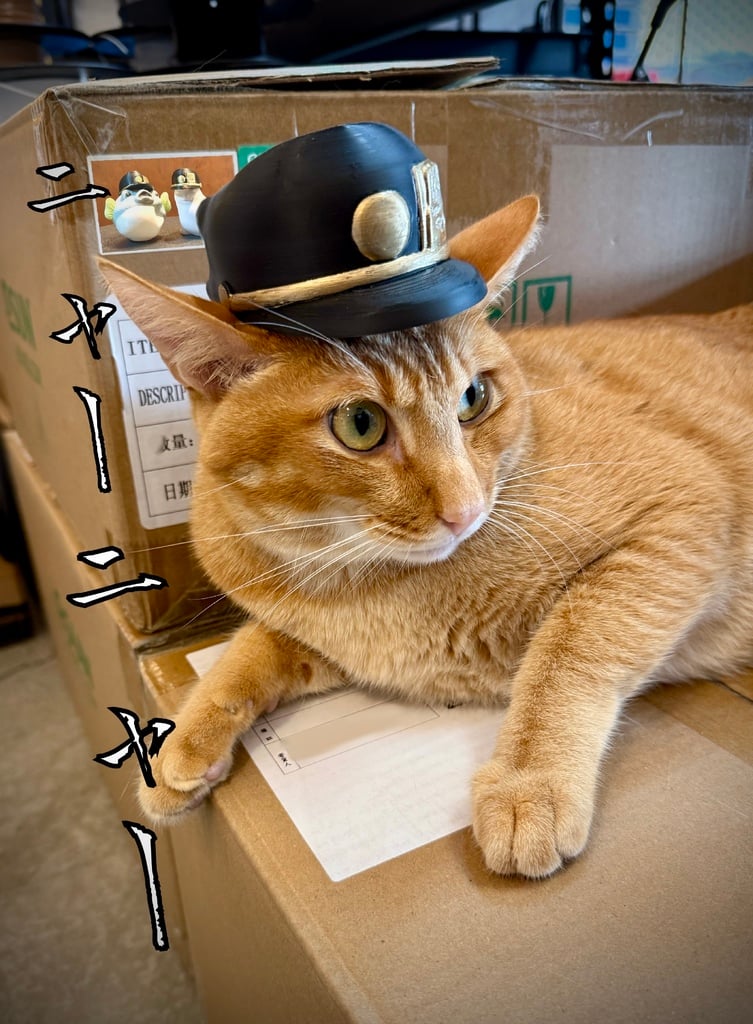 Jotaro's cap: Jojo's Bizarre Adventure