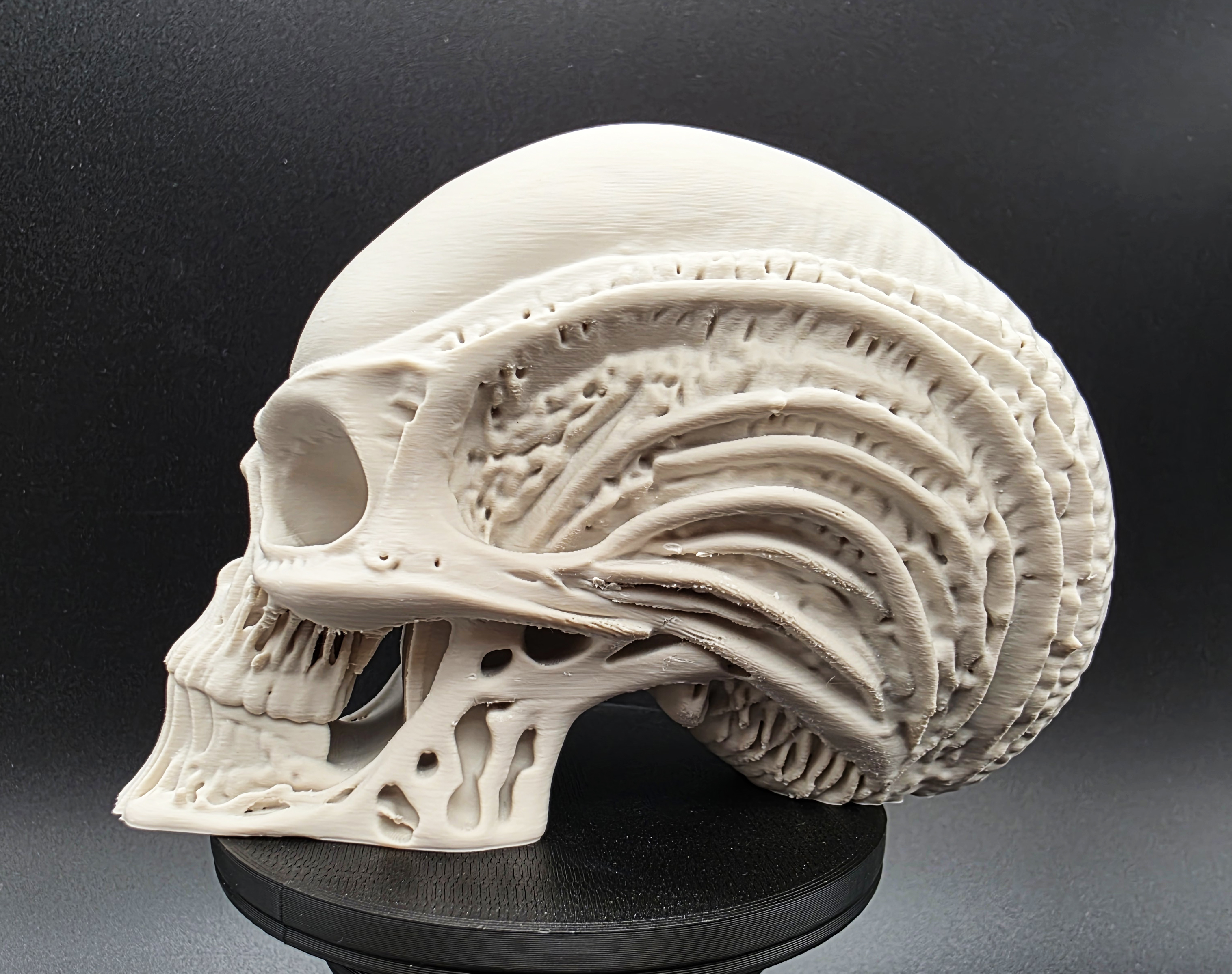 Miniatura 2 do modelo 3D Skeletal Alien Head