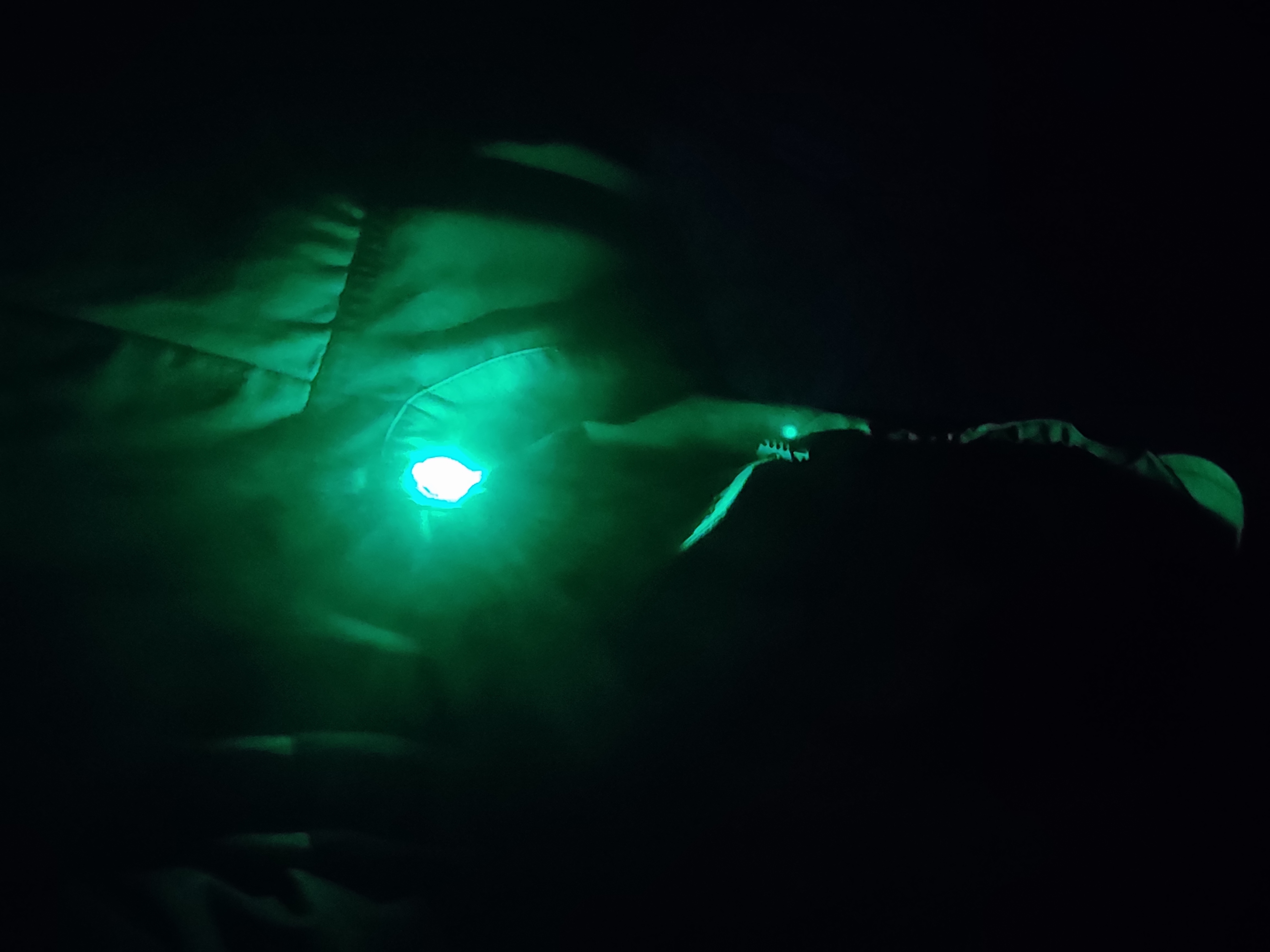 Miniatura 13 do modelo 3D Led coat Button