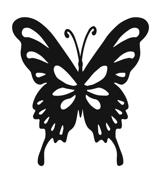 Buterfly 02