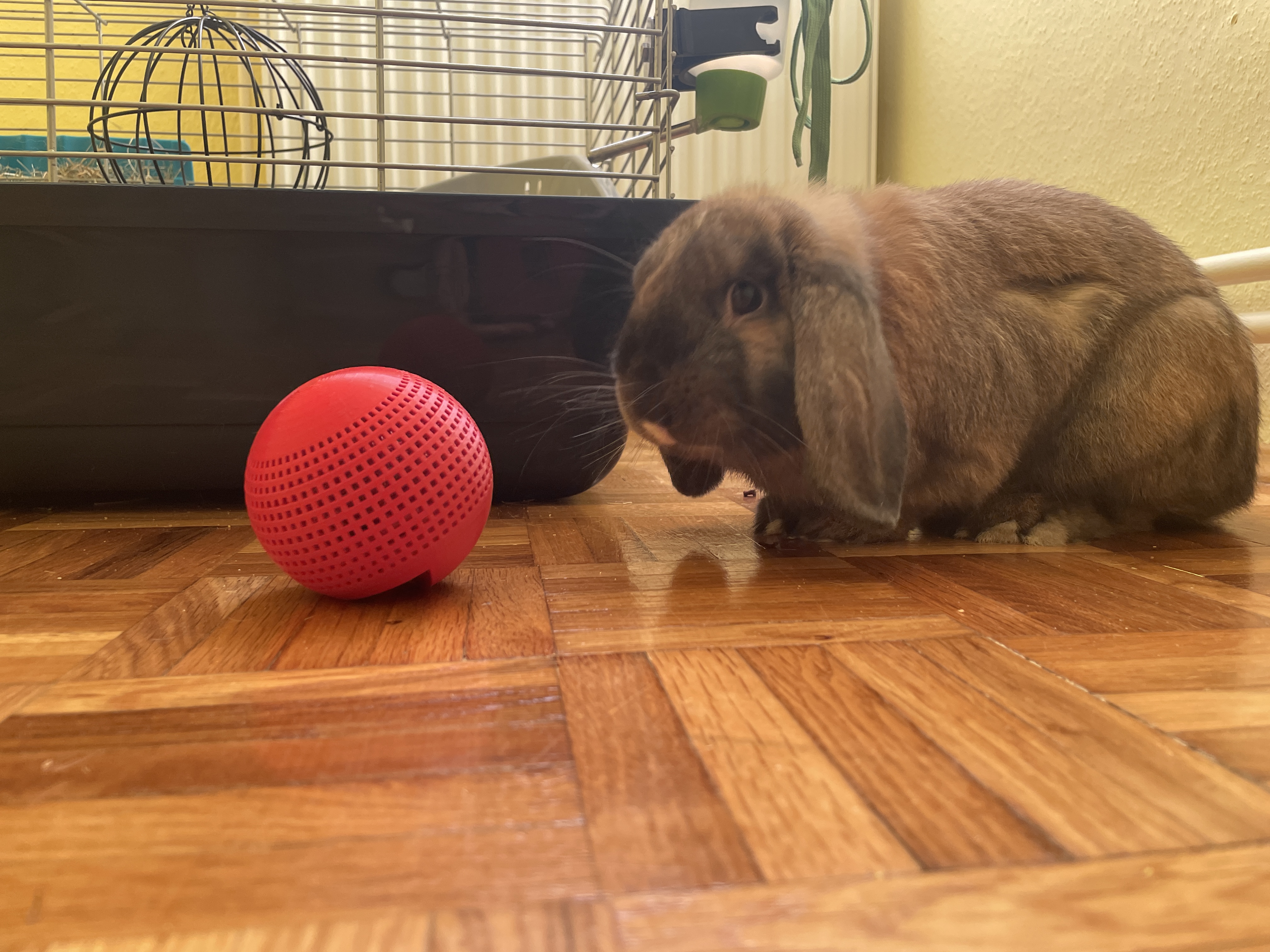 Pet snack ball — miniatura 6
