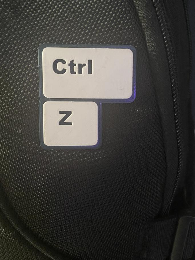 Ctrl z pin