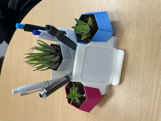 Desk organizer with Hexagon Succulent Planter