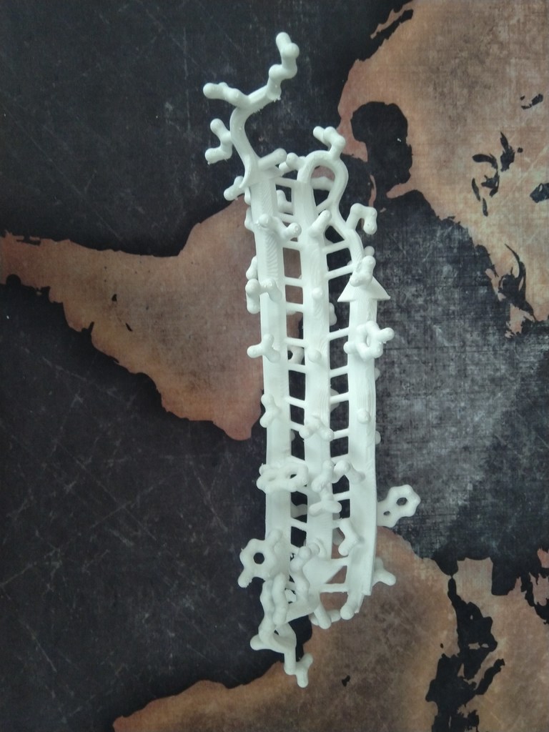 A beta-sheet from a sucrose specific porin as cartoon with the side-chains visible