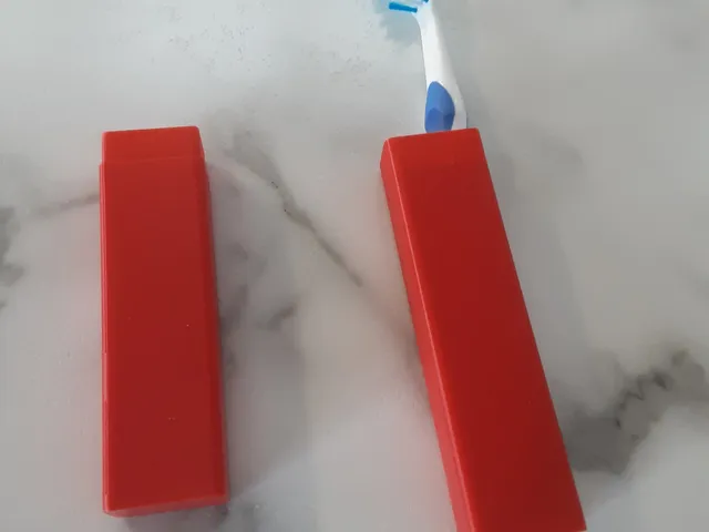 Toothbrush Case