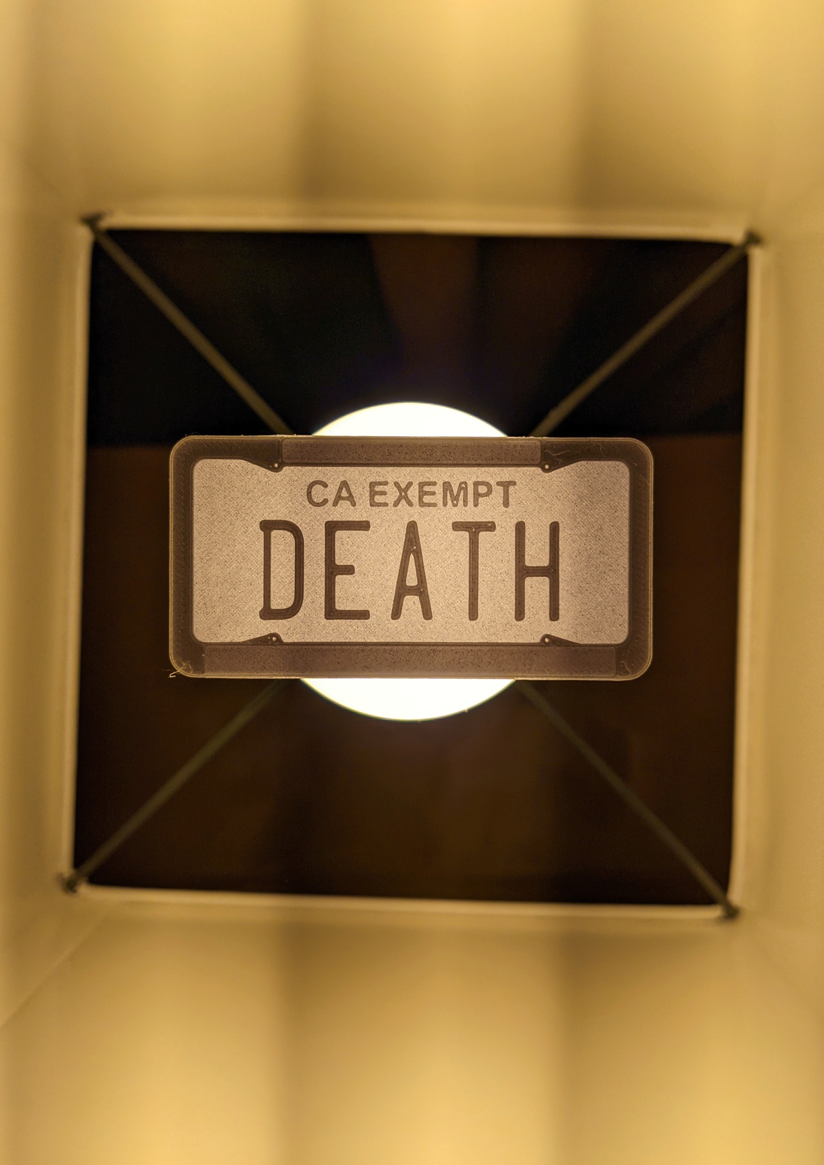 Government Plate