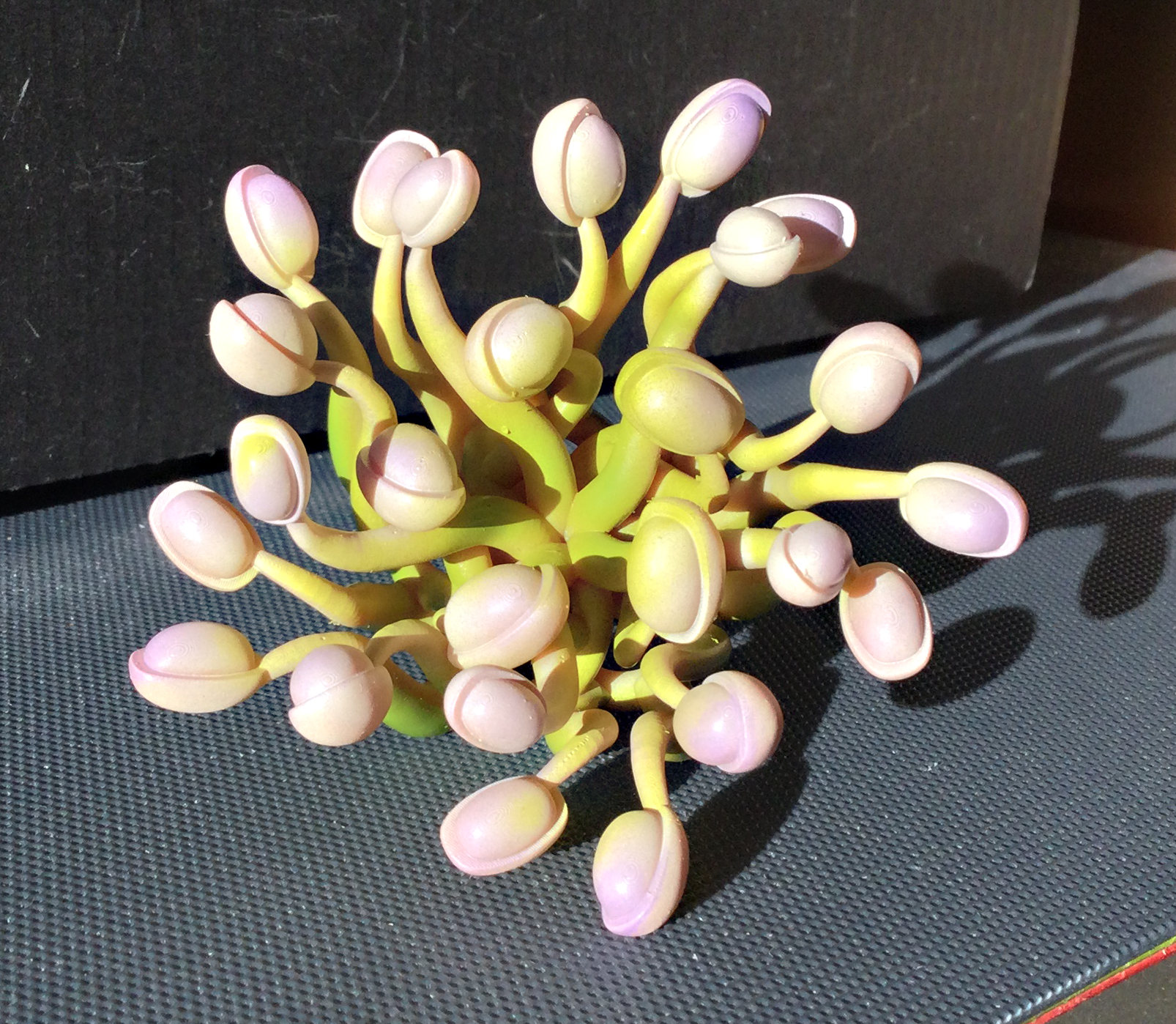 Bean Sprouts Mandala