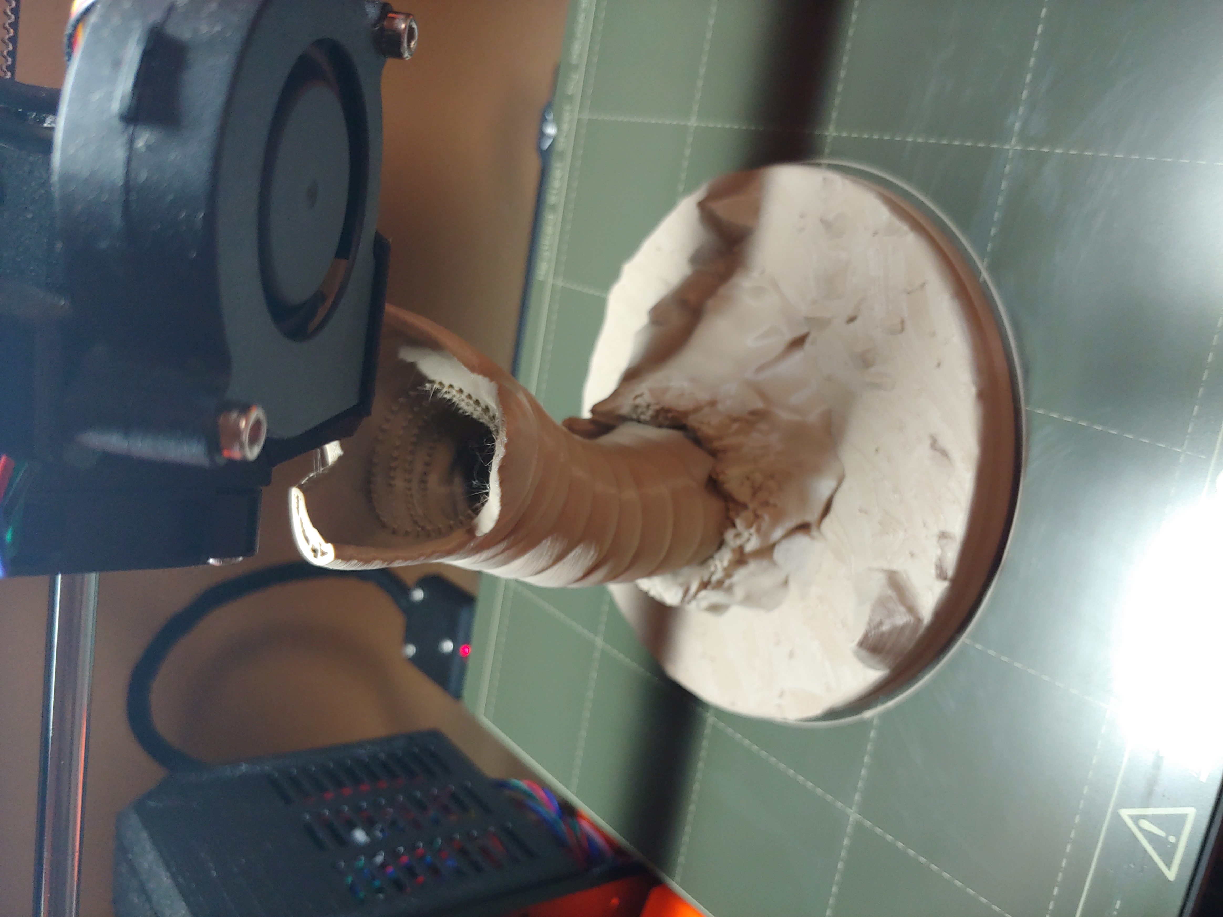 Písečný červ