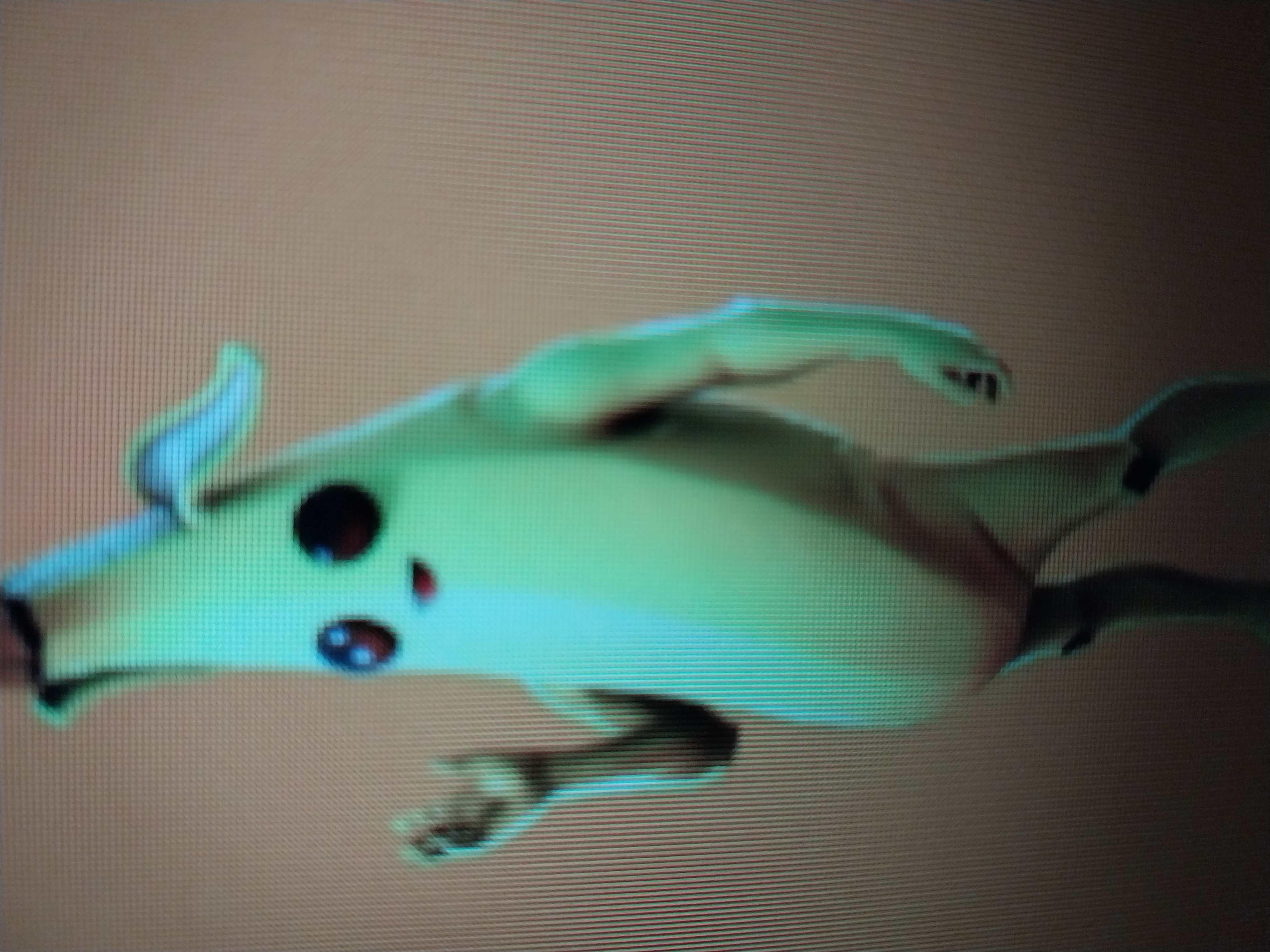 Banano