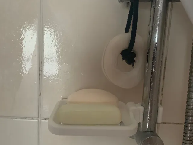 Soap Dish