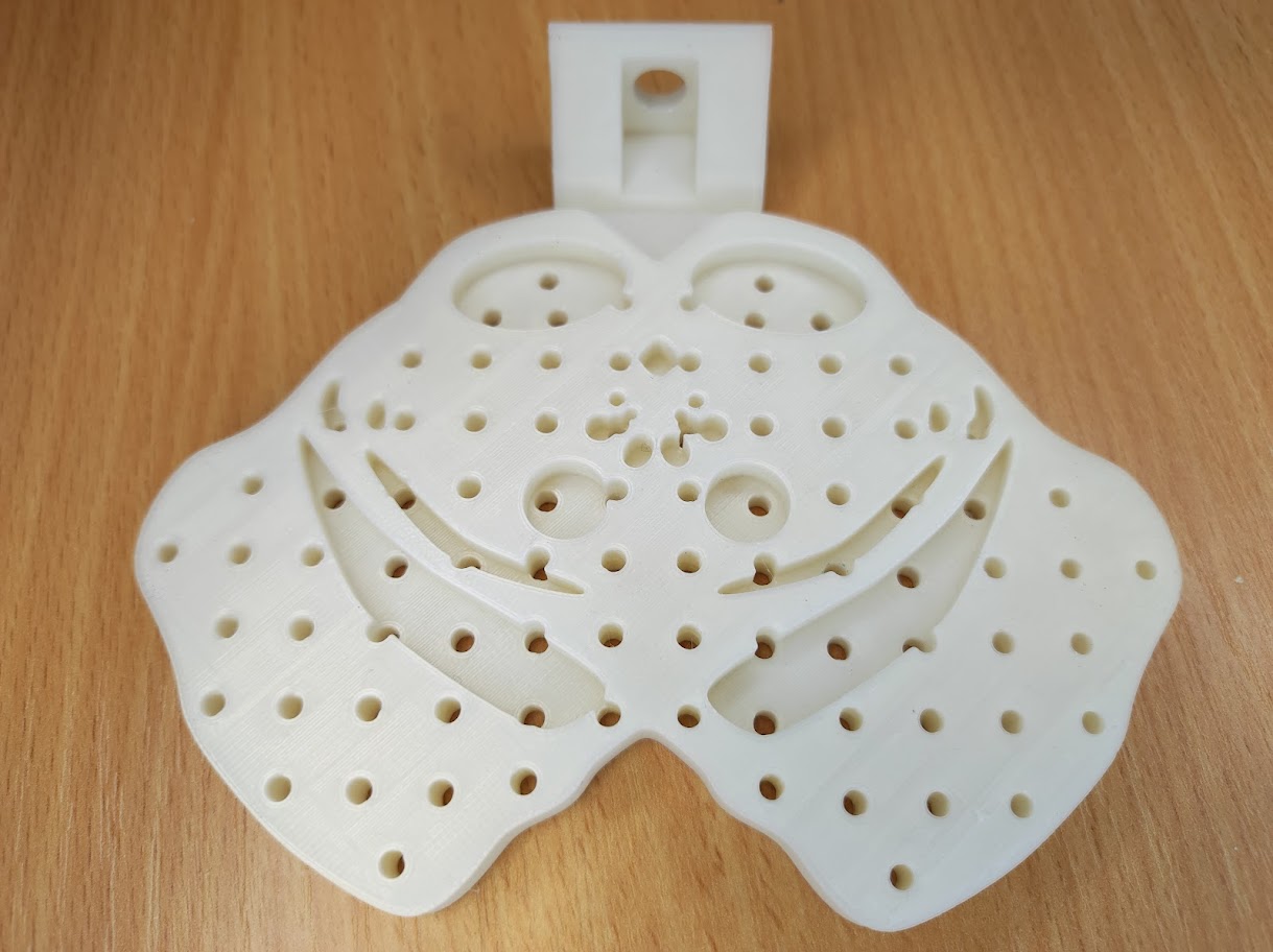 Spinal cord pathways model — miniatura 12
