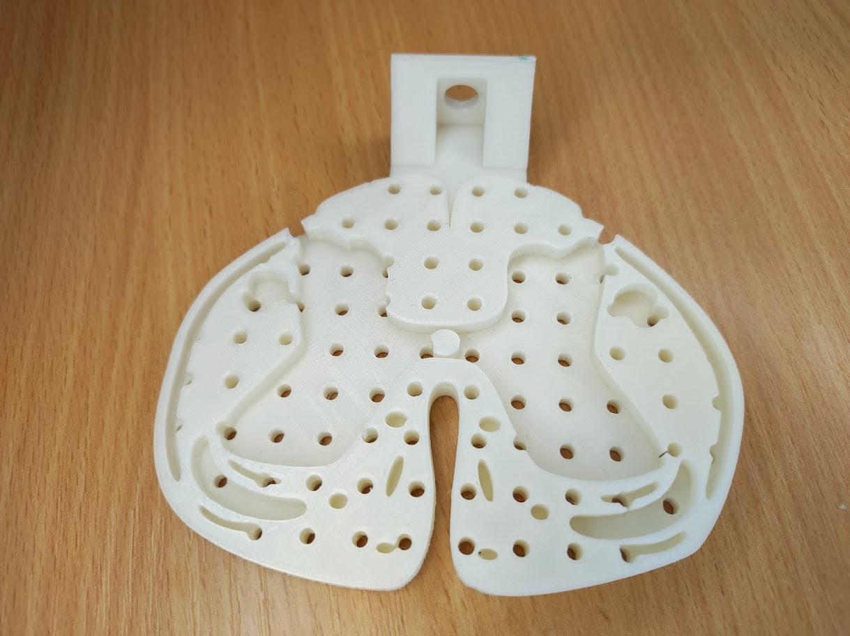 Spinal cord pathways model — miniatura 17