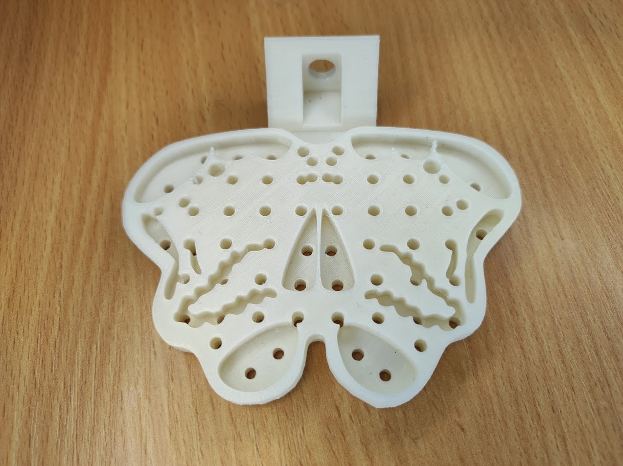 Spinal cord pathways model — miniatura 14