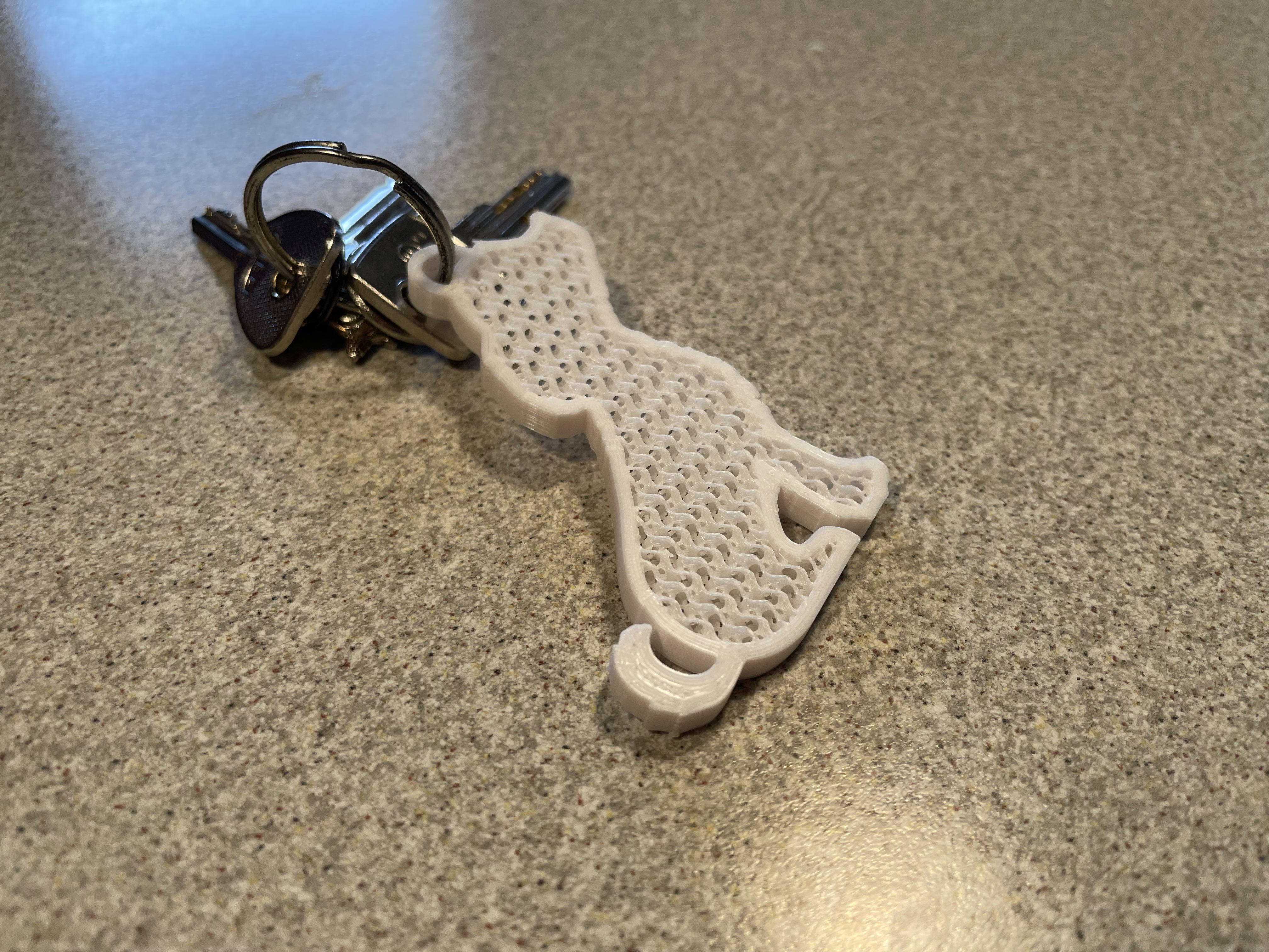 Golden Keychain